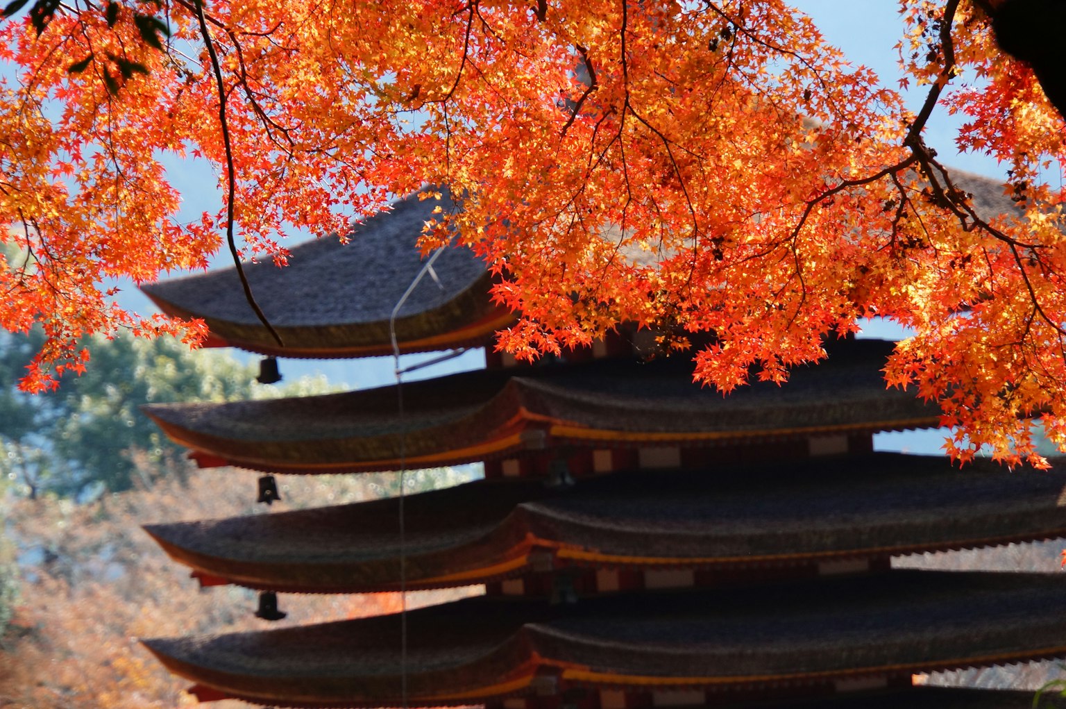 Scenic view of a pagoda surrounded by vibrant red autumn leaves