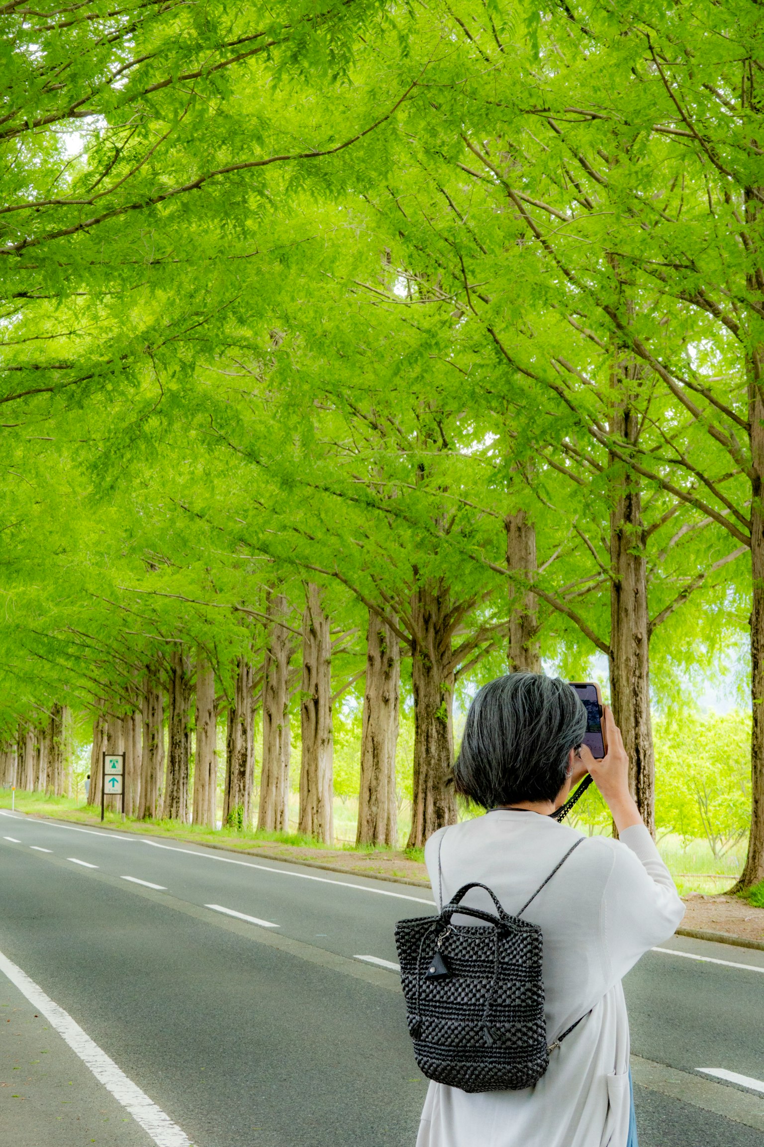 Donna che scatta una foto su una strada alberata