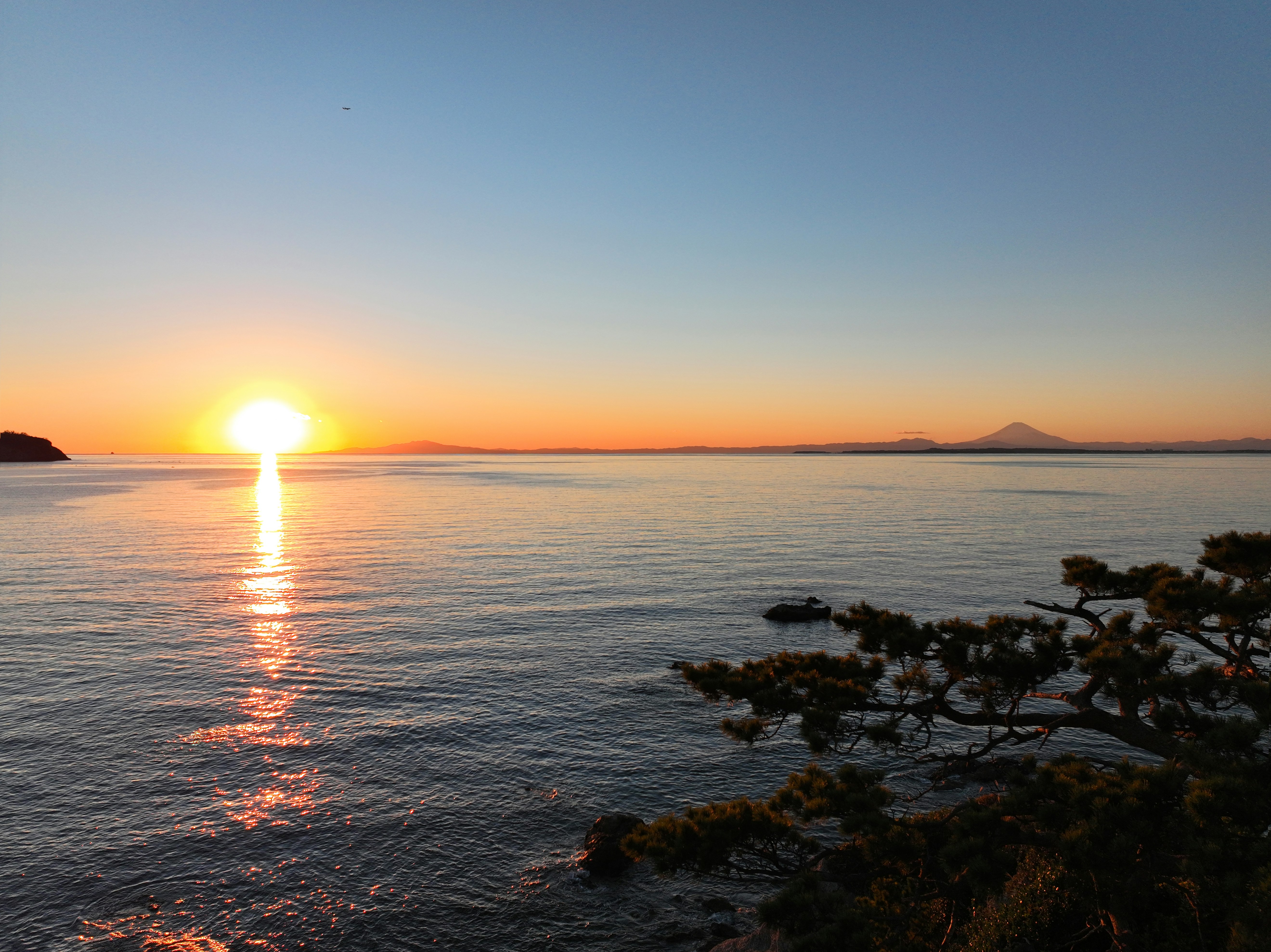 夕陽照亮的海面與海岸松林地平線