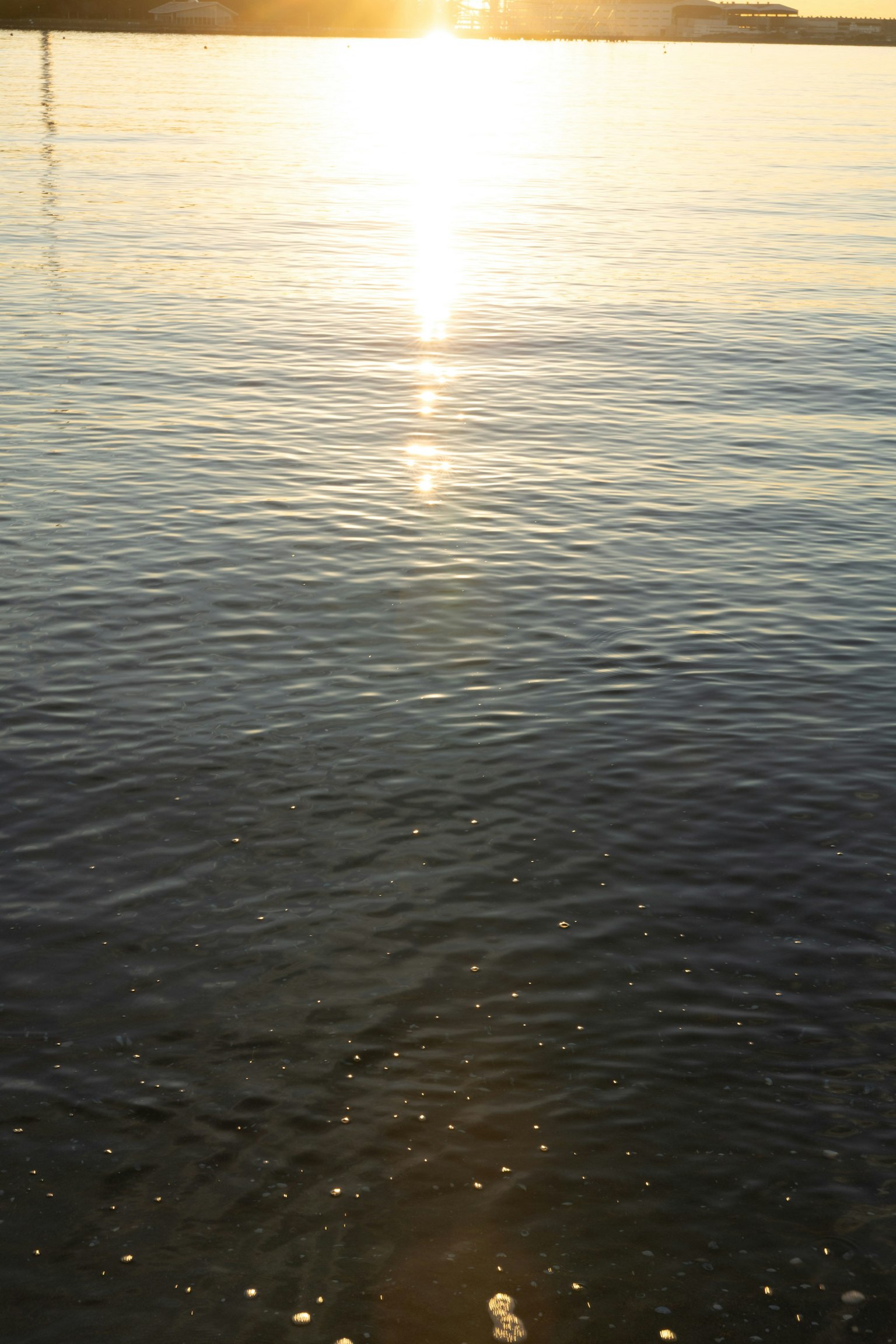 Superficie de agua tranquila reflejando el atardecer y su luz