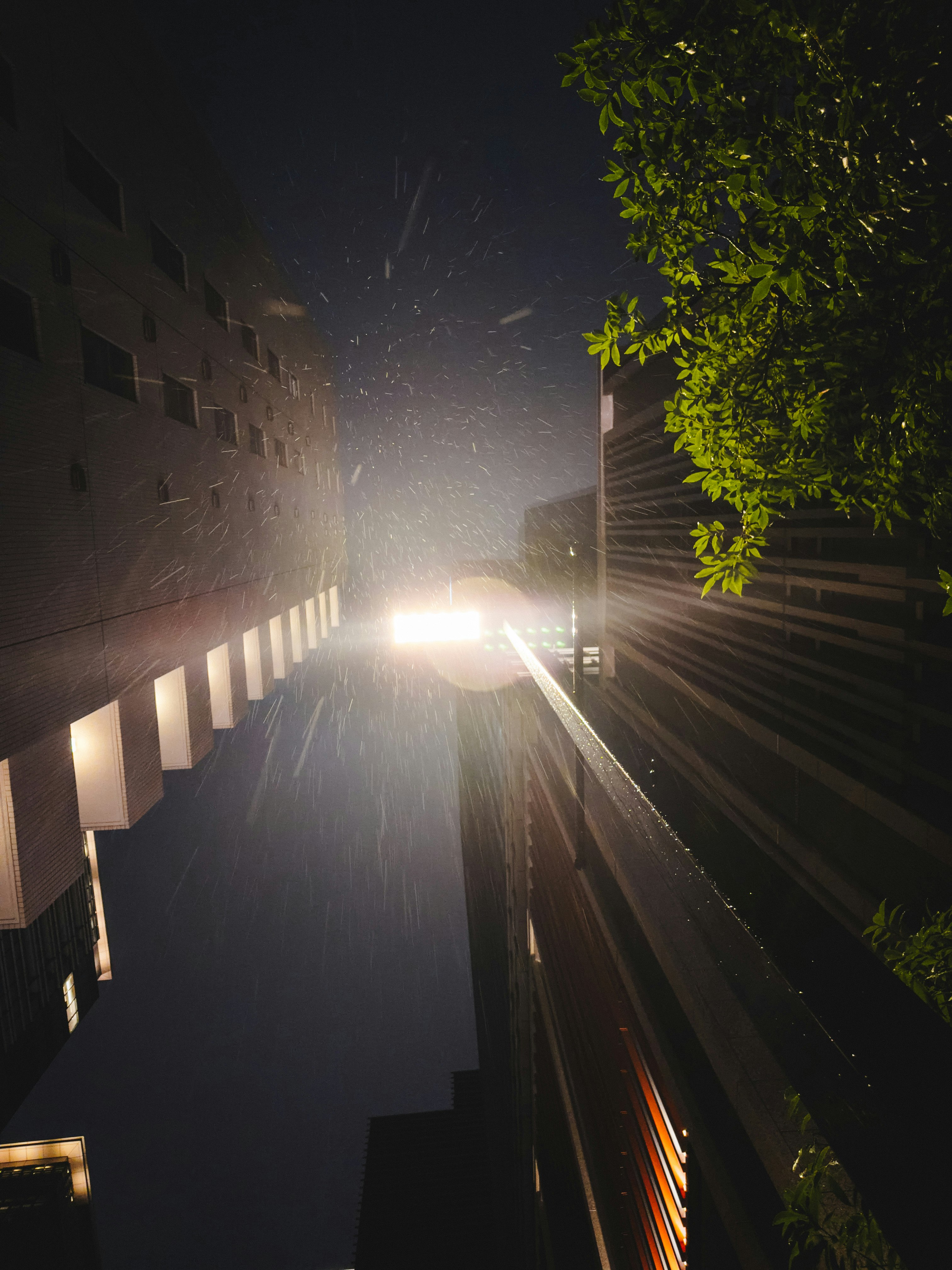 雨上がりの路地で街灯に照らされる夜の光