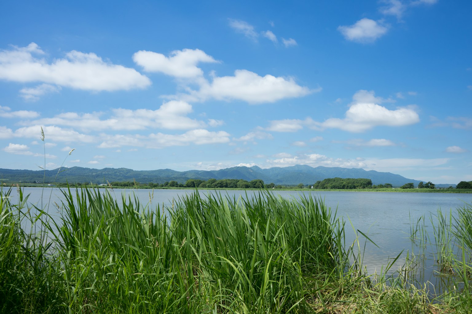 Scenic view of a lake under a blue sky with clouds and green grass at the water's edge