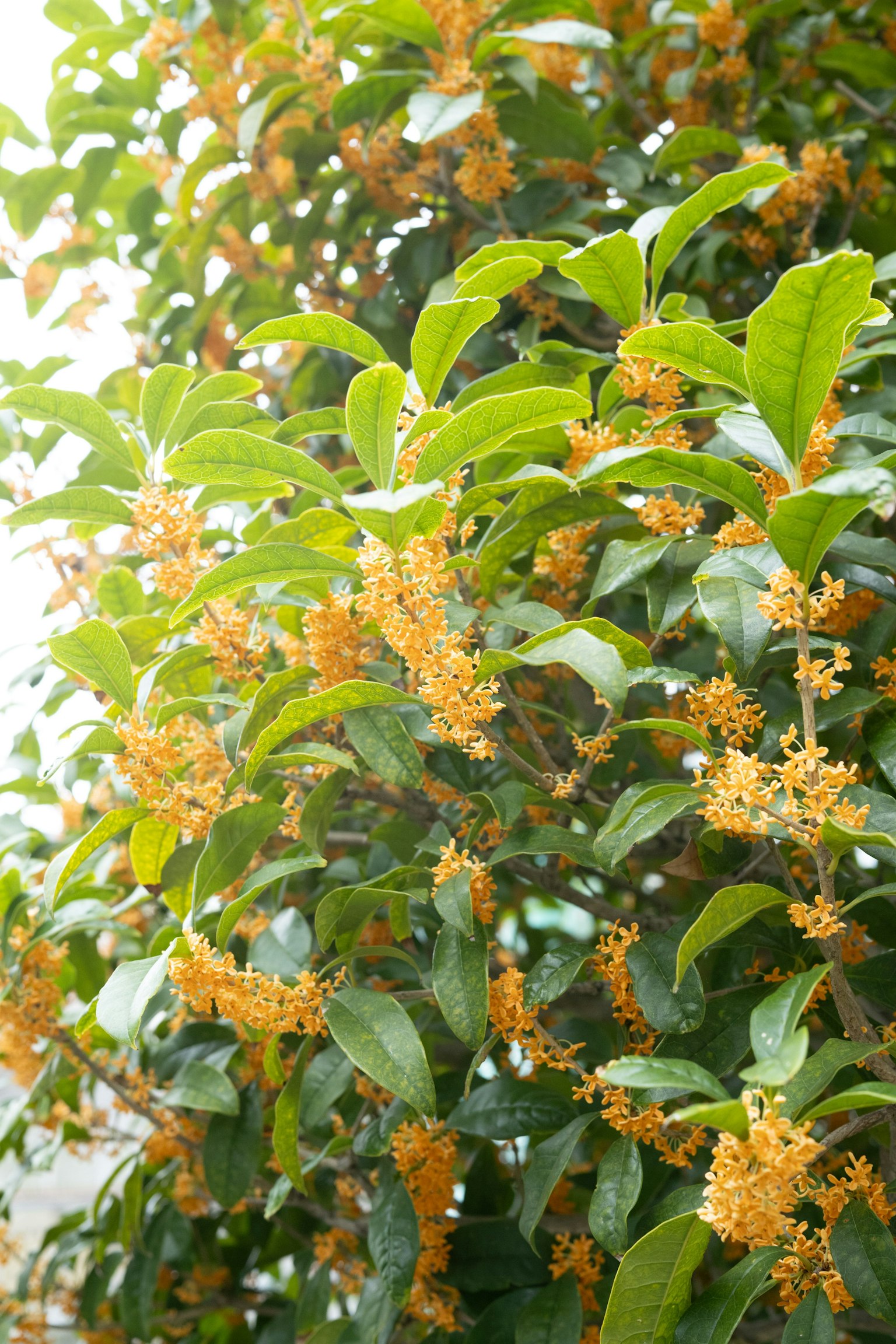 photo-RjjkFsdDQoDjV4dJjjGY-image