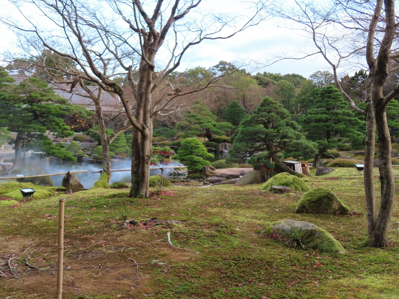 Pemandangan taman Jepang yang tenang dengan pohon dan batu di dekat permukaan air yang tenang