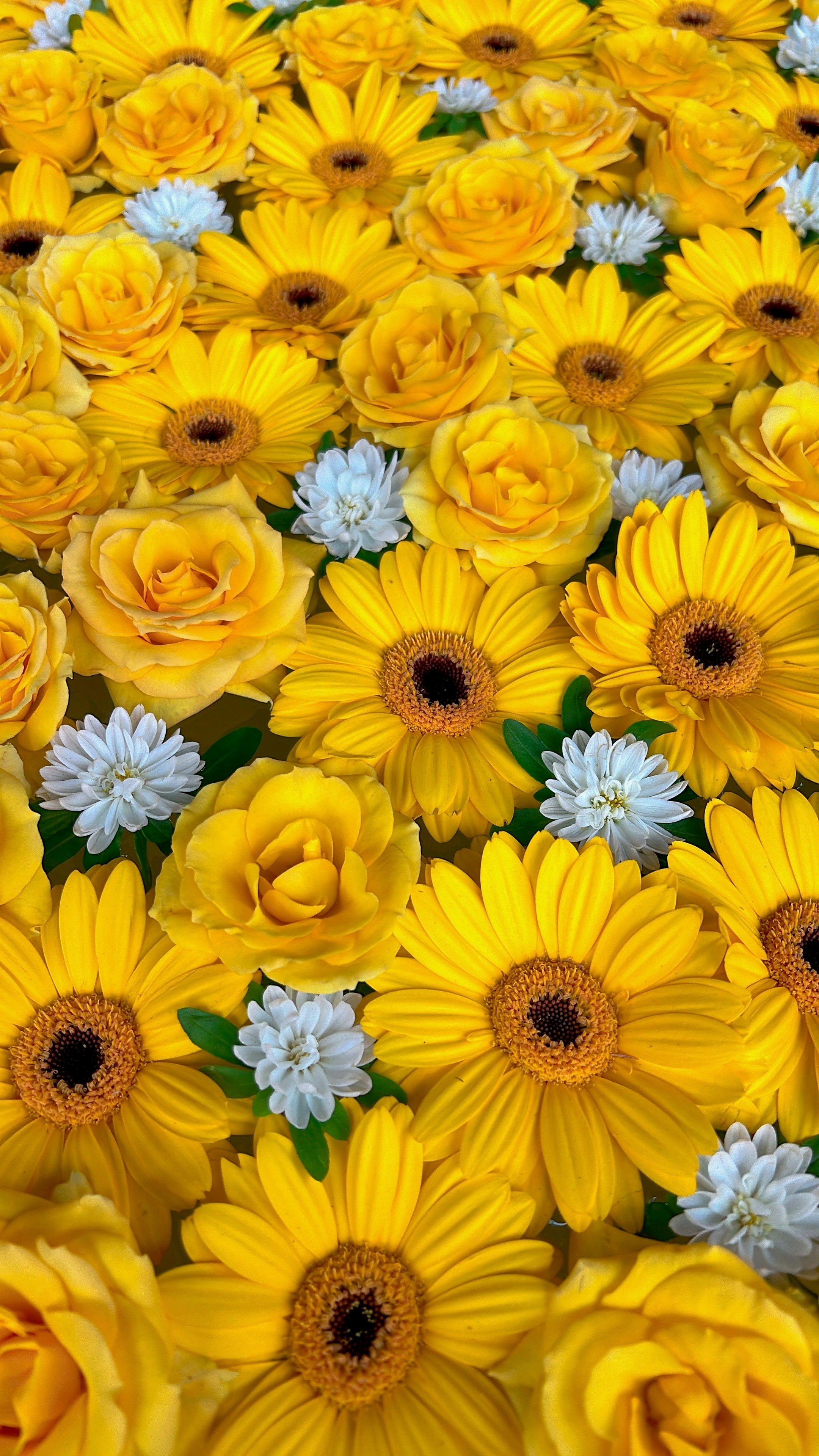 Ramo de flores amarillas: gerberas y rosas