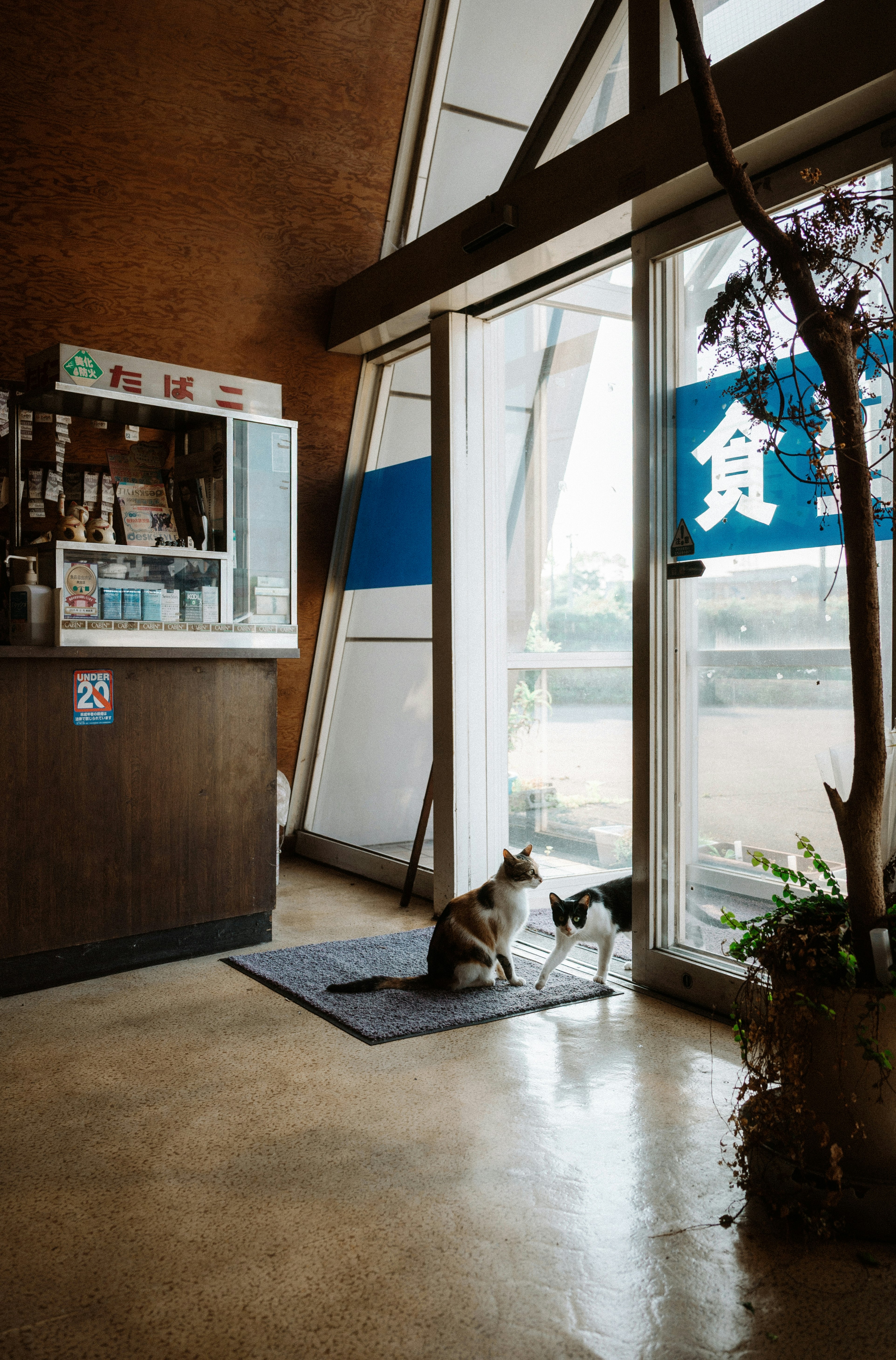 photo-Rk7IyDJPLMKQjpz5wpUi-image