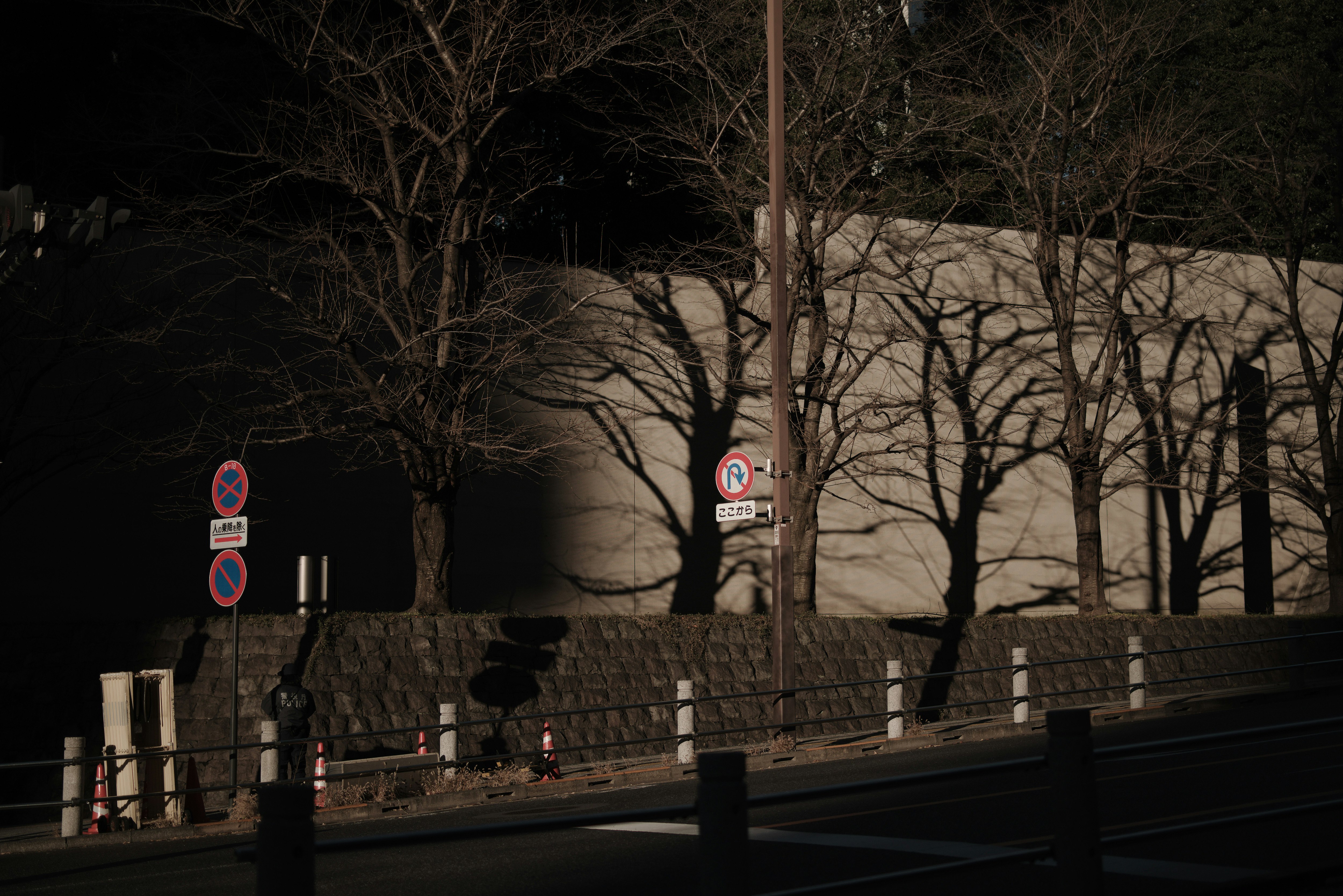 夜の街路樹と石垣のある道路風景