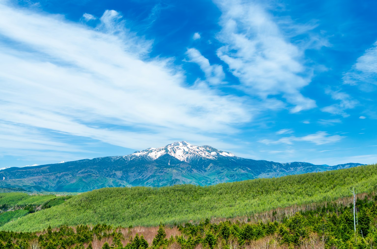Montagna innevata sotto un cielo blu con nuvole bianche e paesaggio verde
