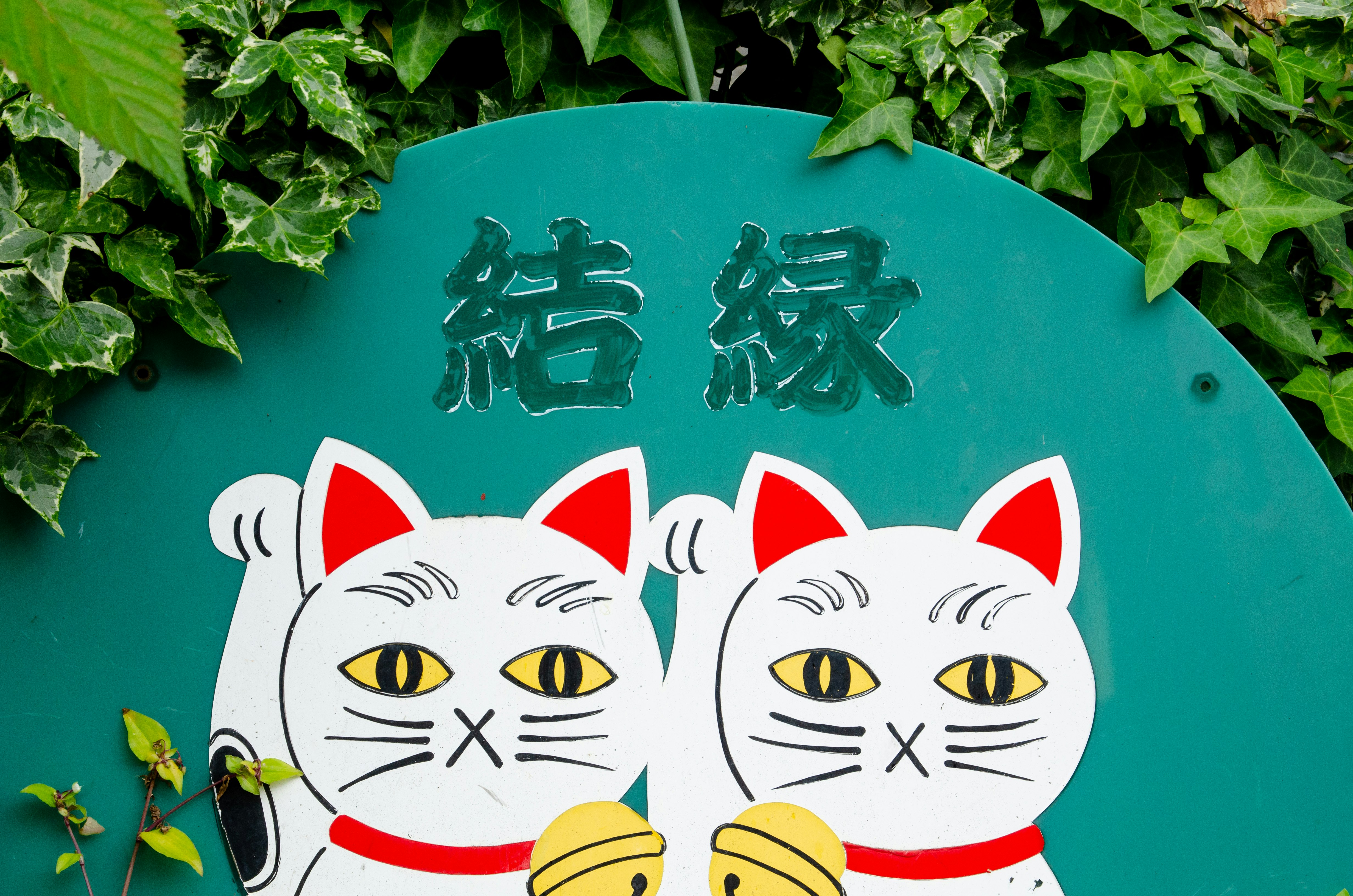 緑のつる植物に囲まれた招き猫の看板