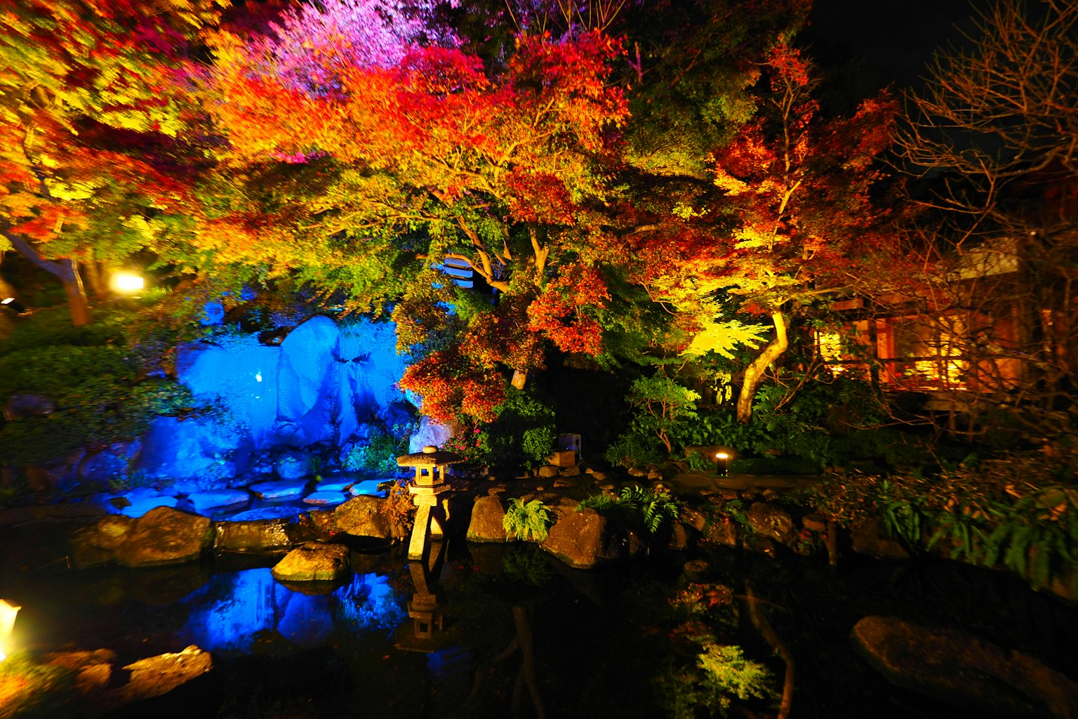 Una scena vivace di un giardino di notte con foglie autunnali colorate e luci blu sorprendenti