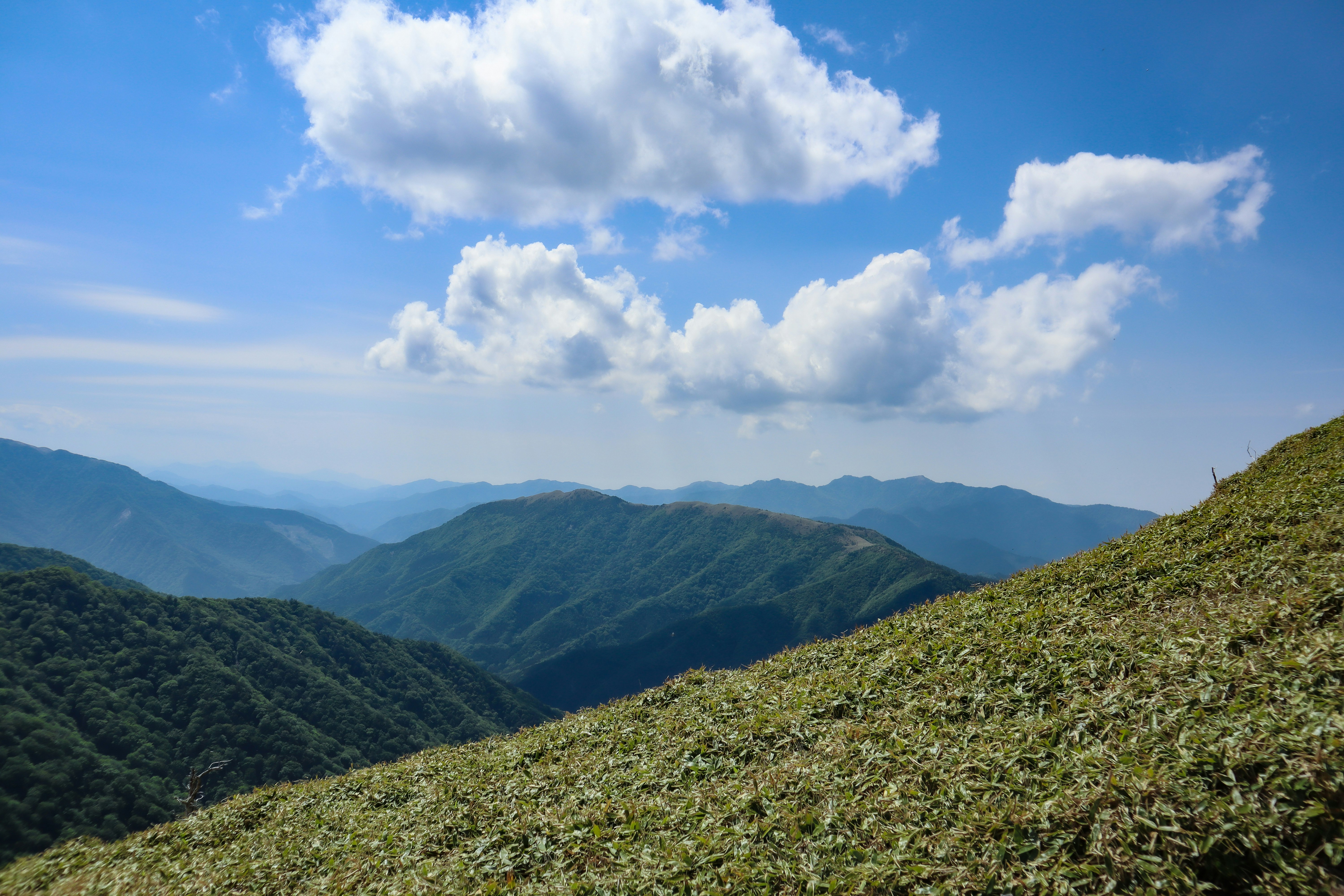 剣山・次郎笈の稜線から望む新緑の山並みと青空