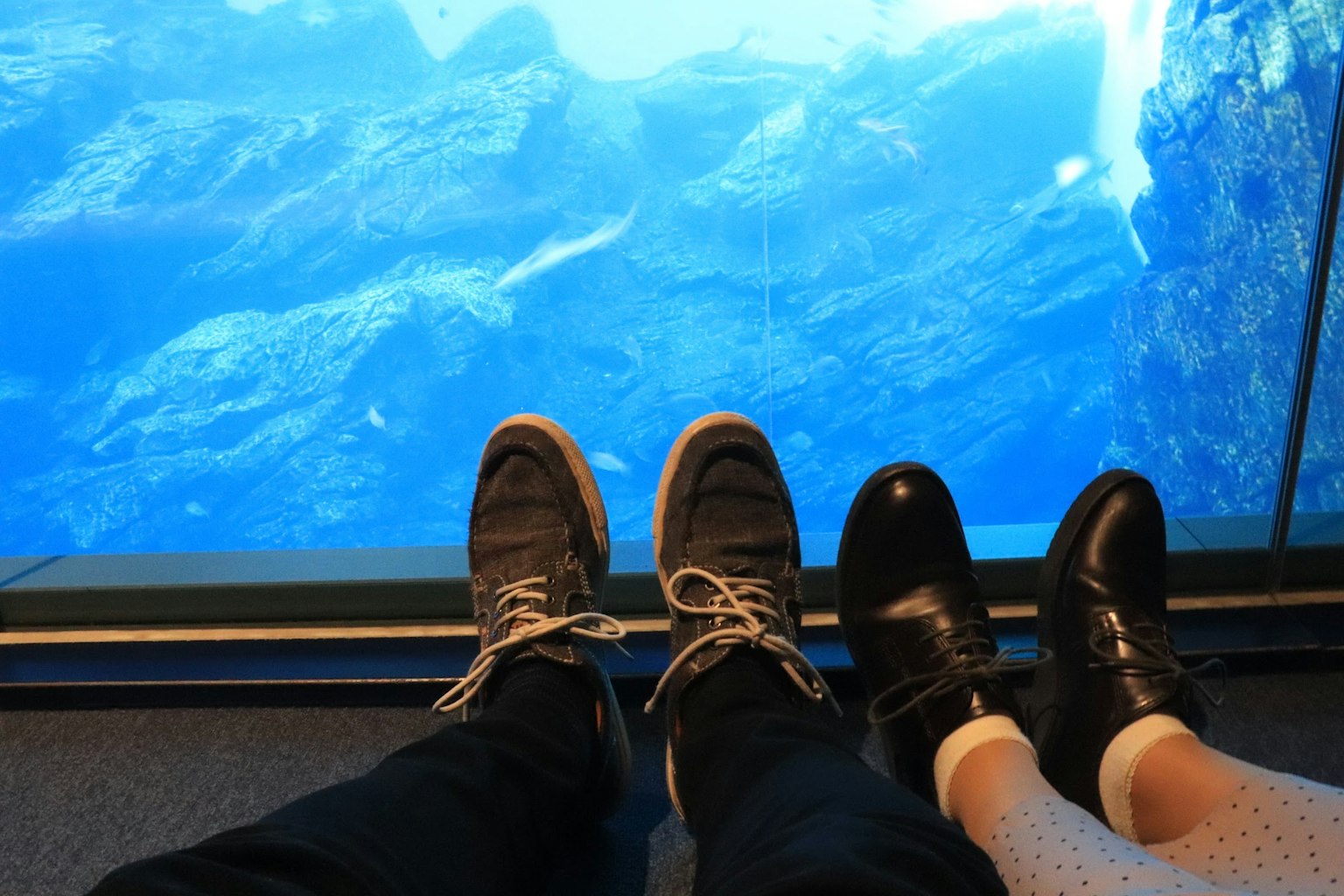 两双鞋子在蓝色水族馆前面