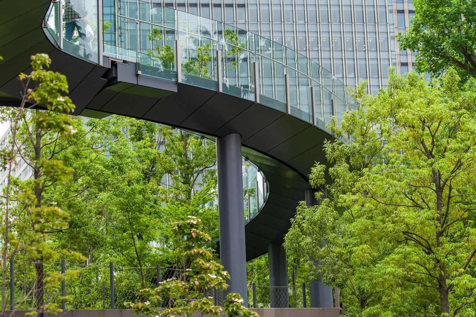 Bâtiment moderne avec une structure en verre entourée d'arbres verts luxuriants