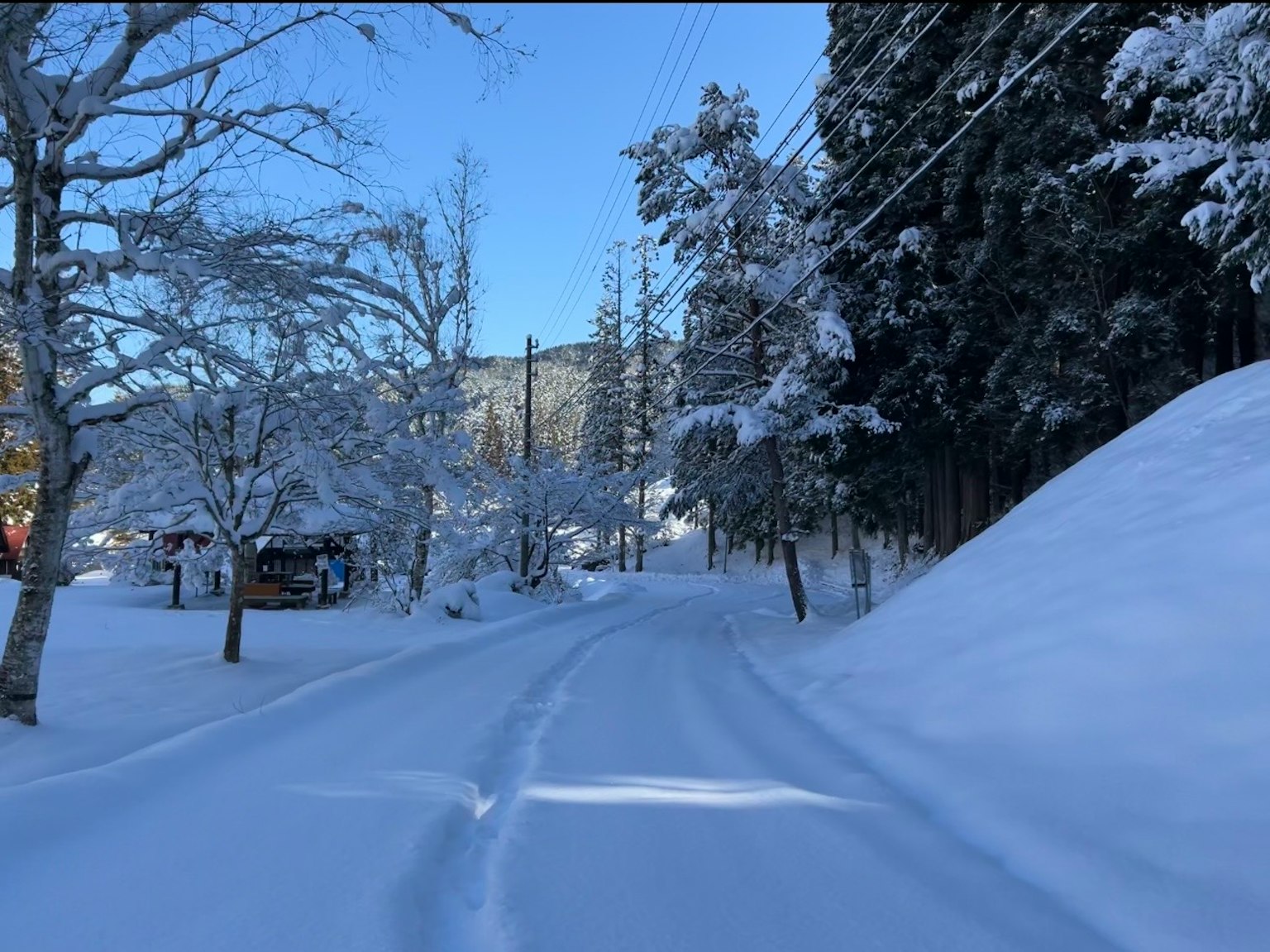 Schneebedeckte Straße umgeben von Bäumen und Bergen