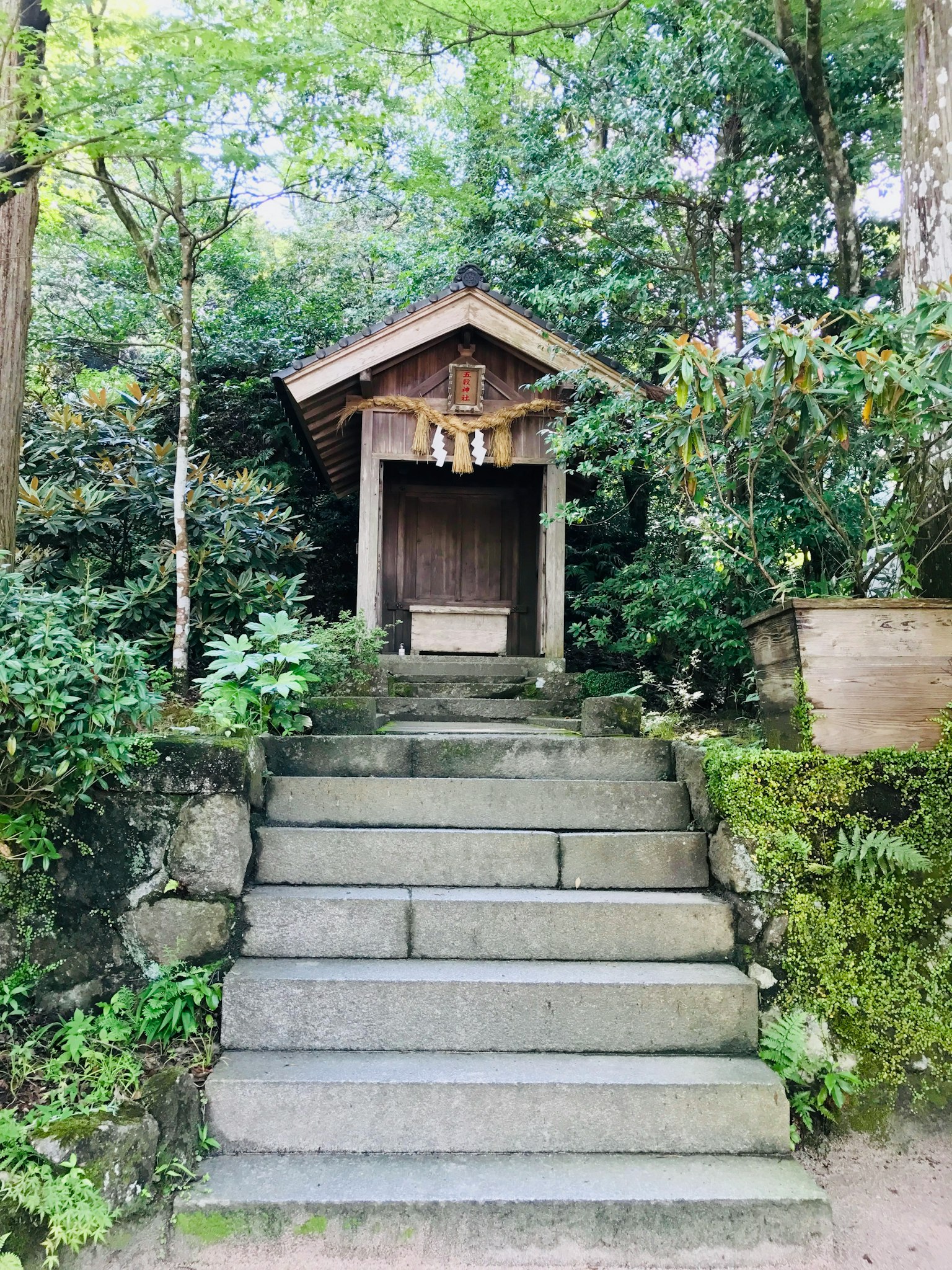 一个被绿树环绕的小神社和通往它的石阶