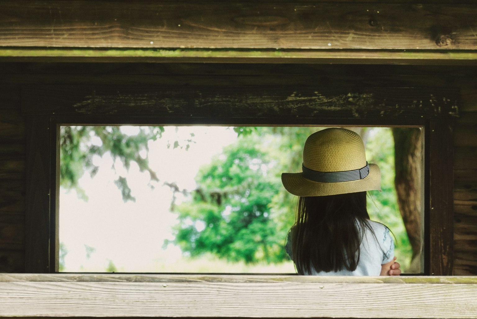 Gadis dengan topi lebar melihat melalui bingkai kayu ke pemandangan hijau