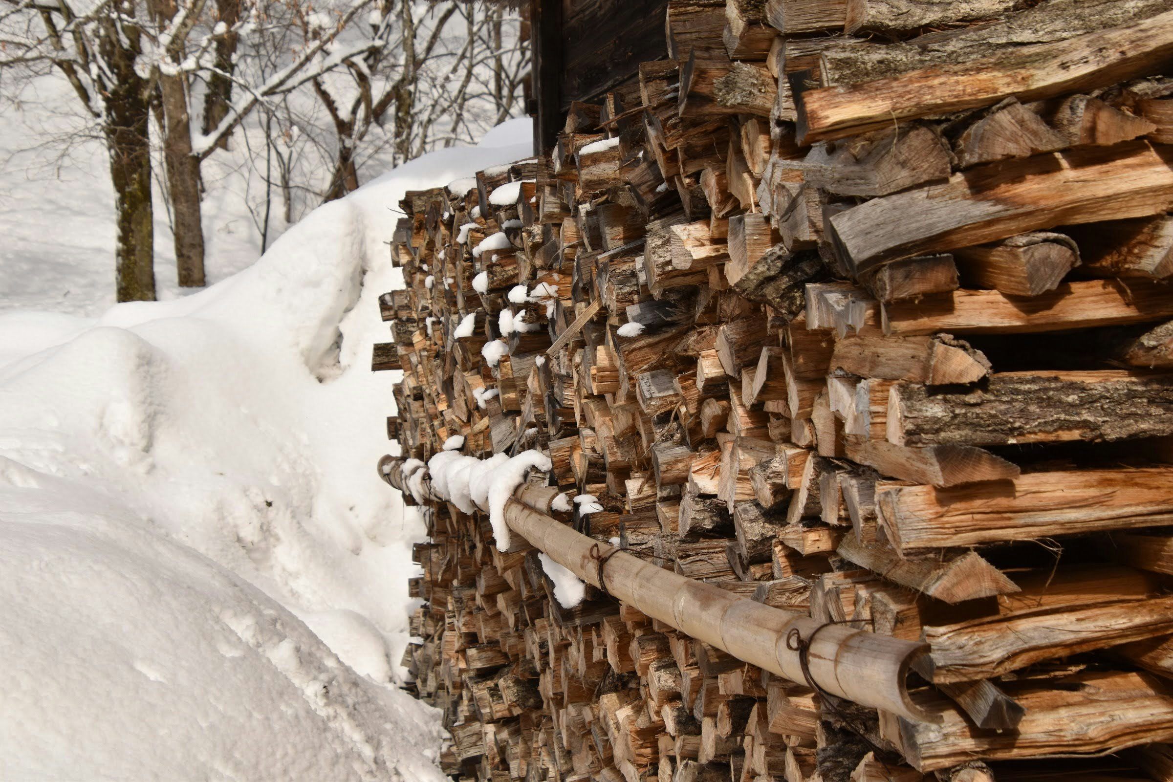 雪の積もる薪小屋の壁に並ぶ薪と丸太