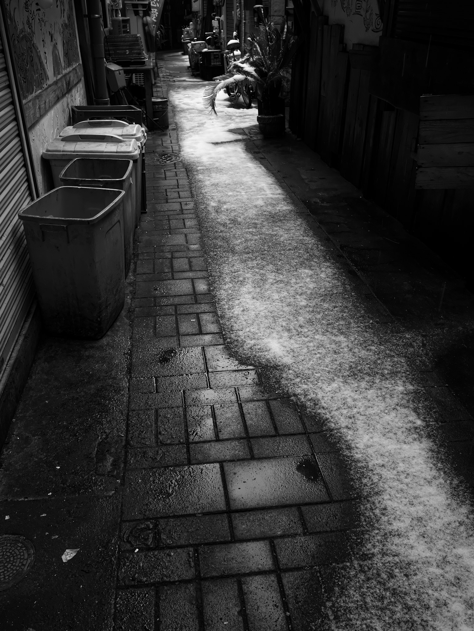 Callejón estrecho en blanco y negro con contenedores de basura y sombras de adoquines