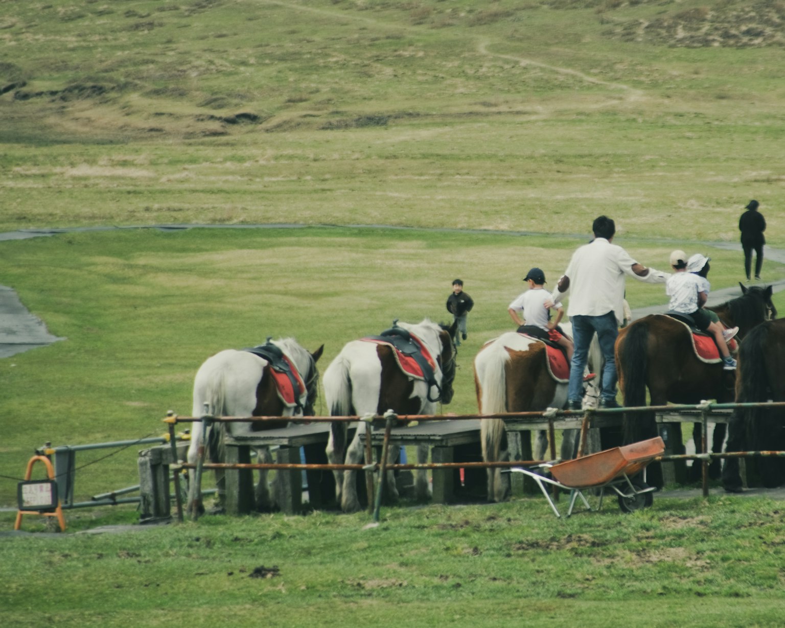 Menschen versammelt um Pferde auf einem grasbewachsenen Feld