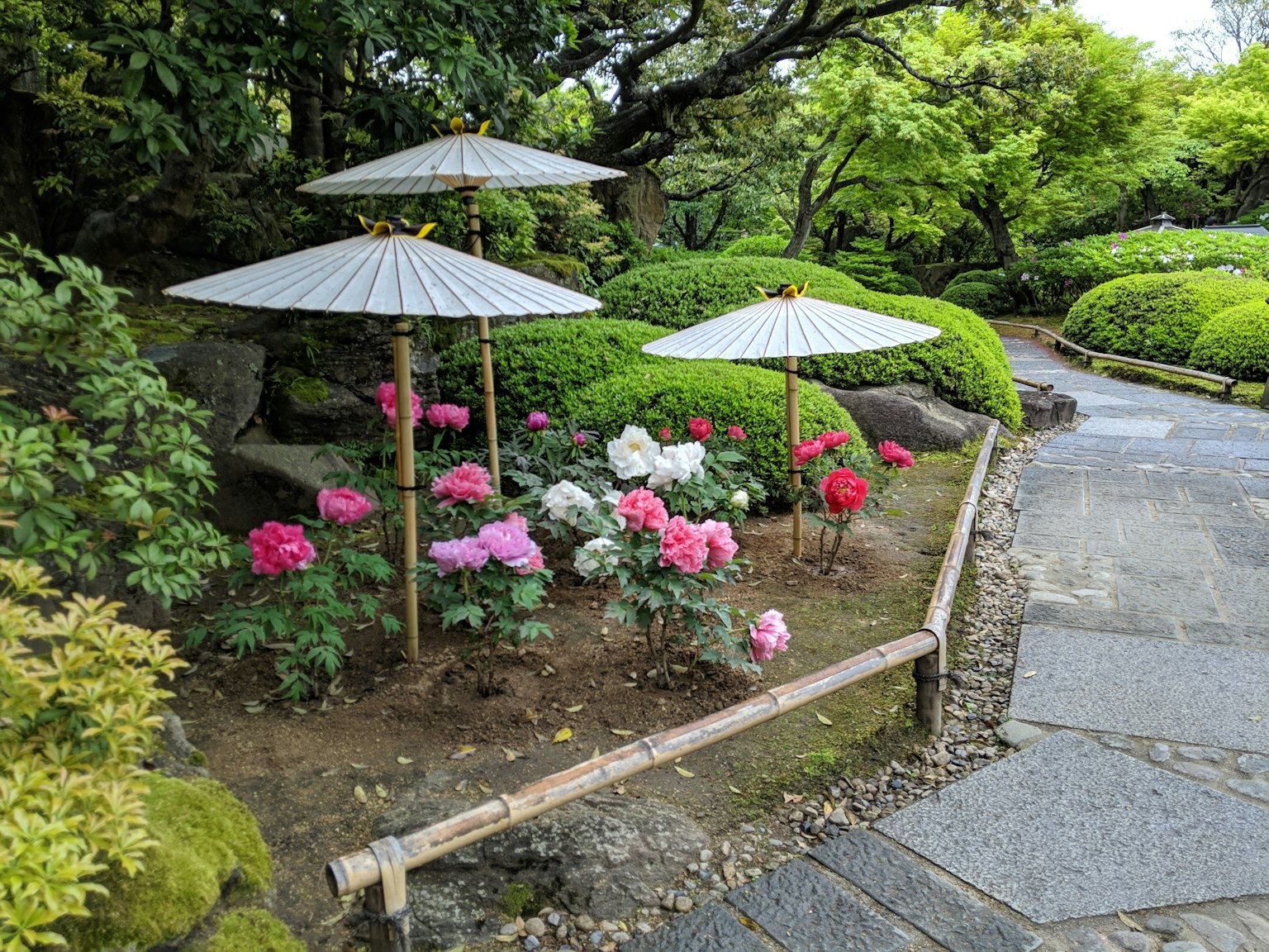 花園中的三把傘和五彩繽紛的花朵