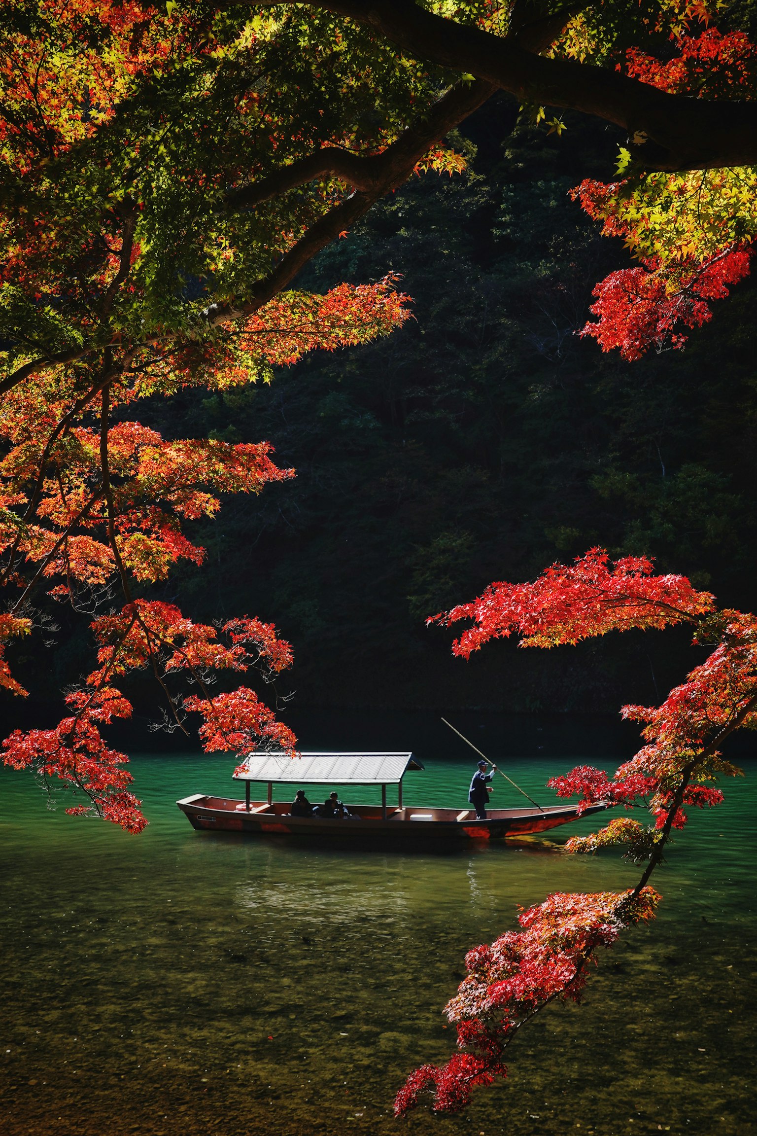 紅葉に囲まれた静かな川で漕がれる小舟