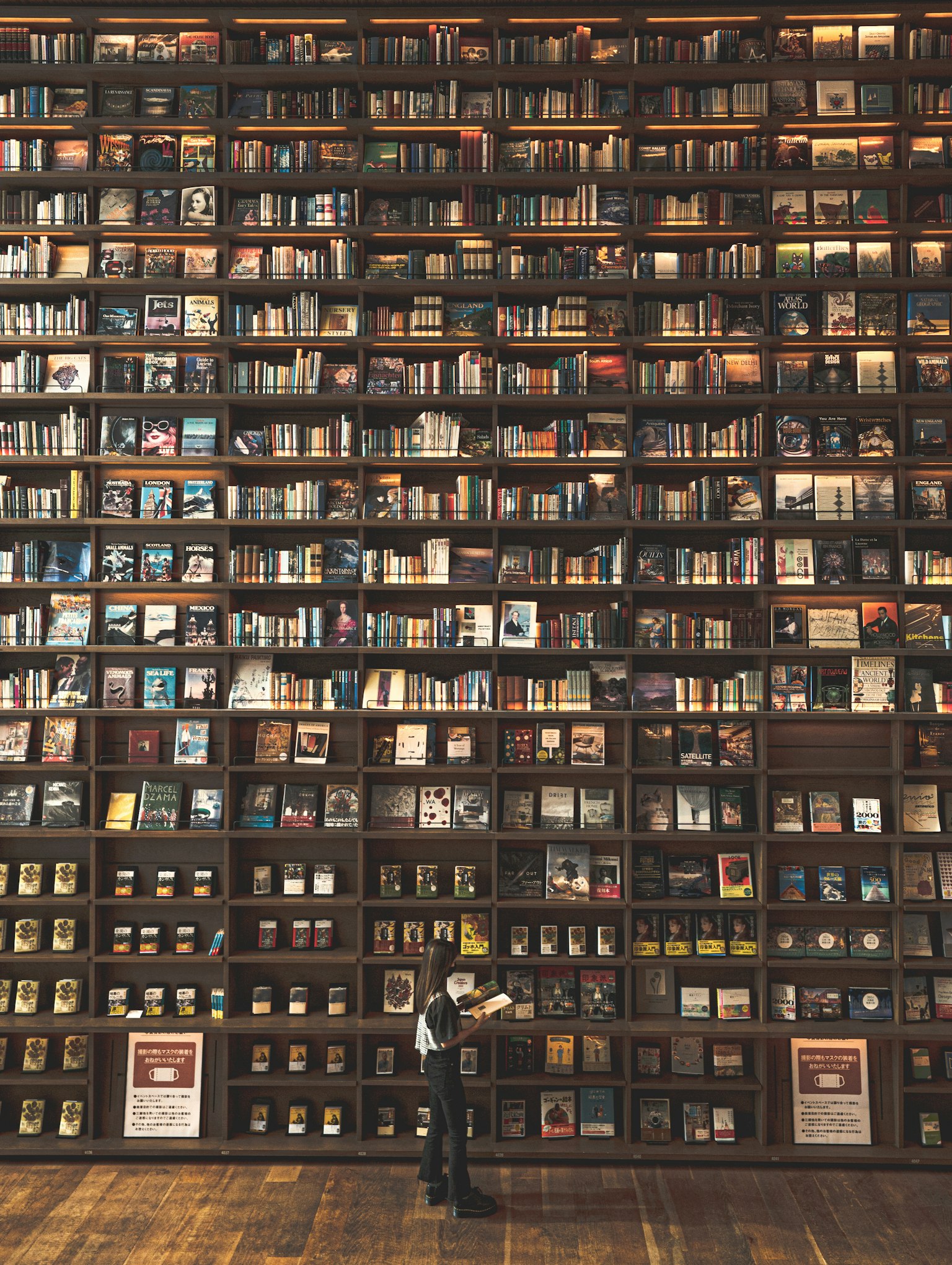 A person searching for a book in a large library with towering shelves