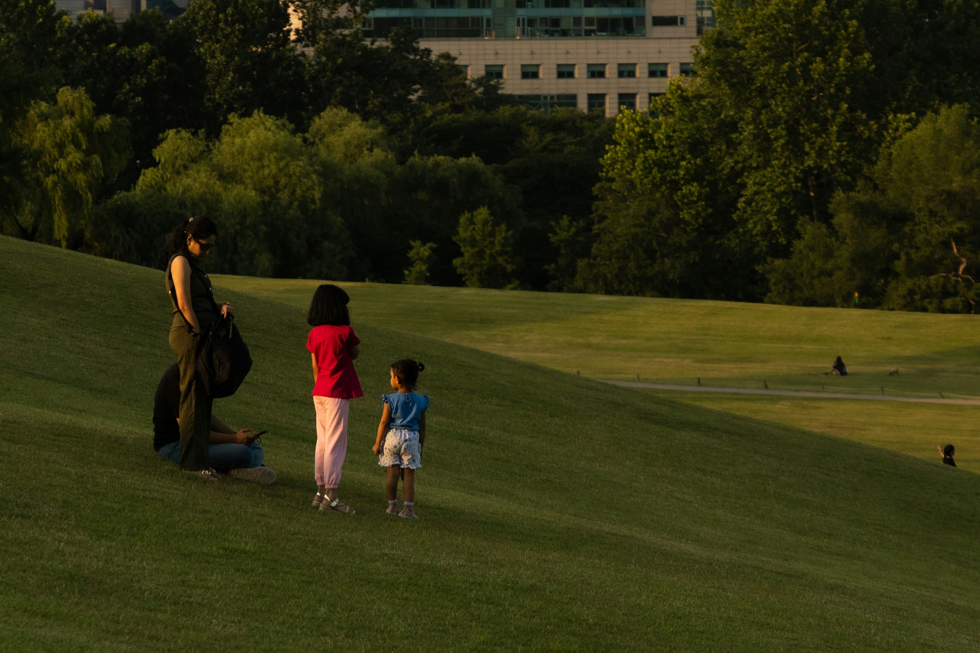 芝生の丘で遊ぶ親子と散歩する人々のある公園の夕方の風景