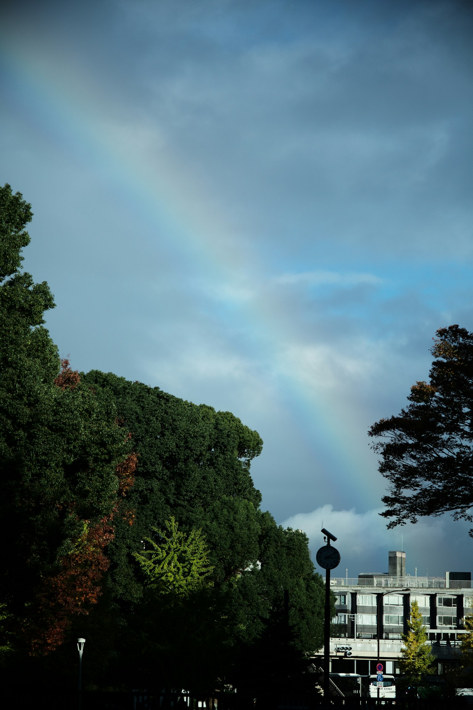 Un arcobaleno che si estende attraverso un cielo blu con alberi verdi lussureggianti