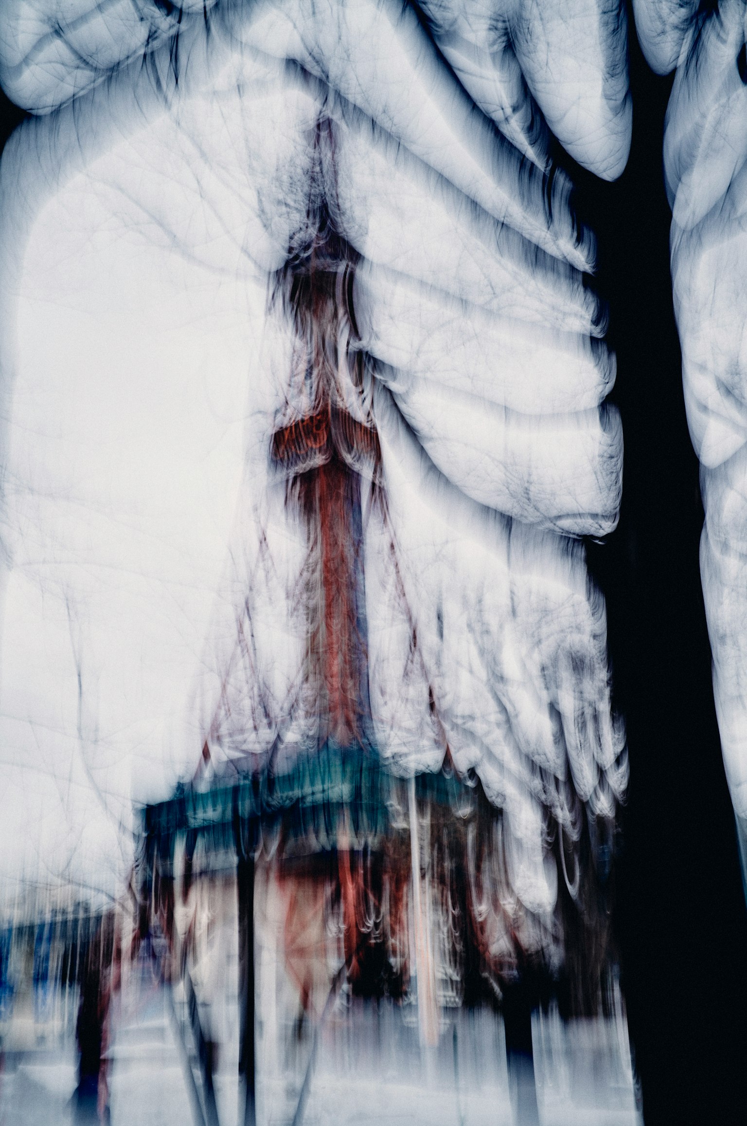 photo-RrVIlDqG9fOlXvPQKUw2-image