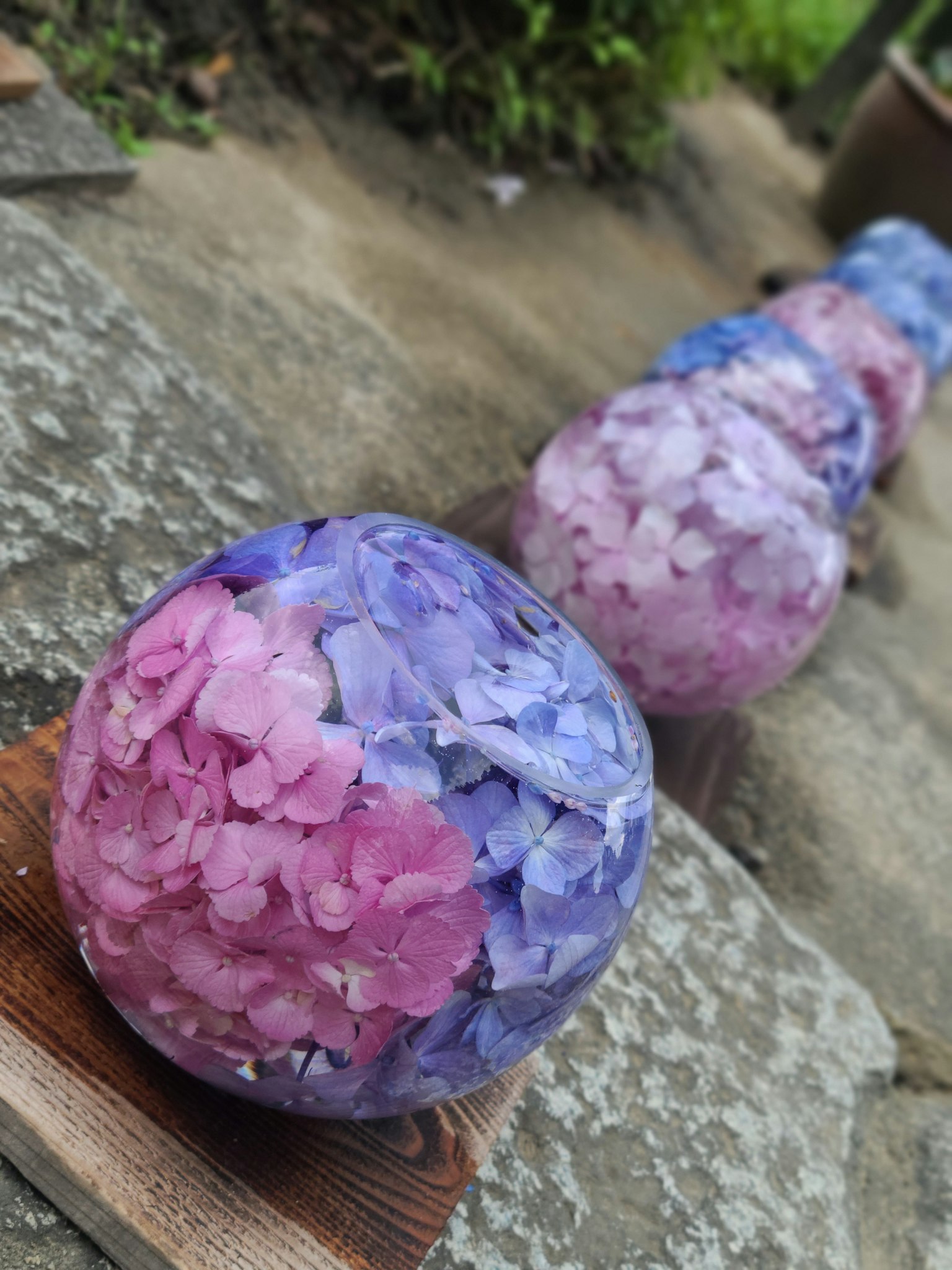 ลูกกลมตกแต่งด้วยกลีบสีม่วงและชมพูเรียงกันเป็นแถว