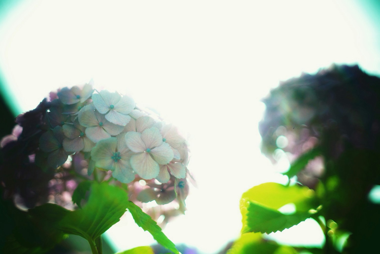 photo-Rs4RtUgMcLCfDWrzqIPC-image