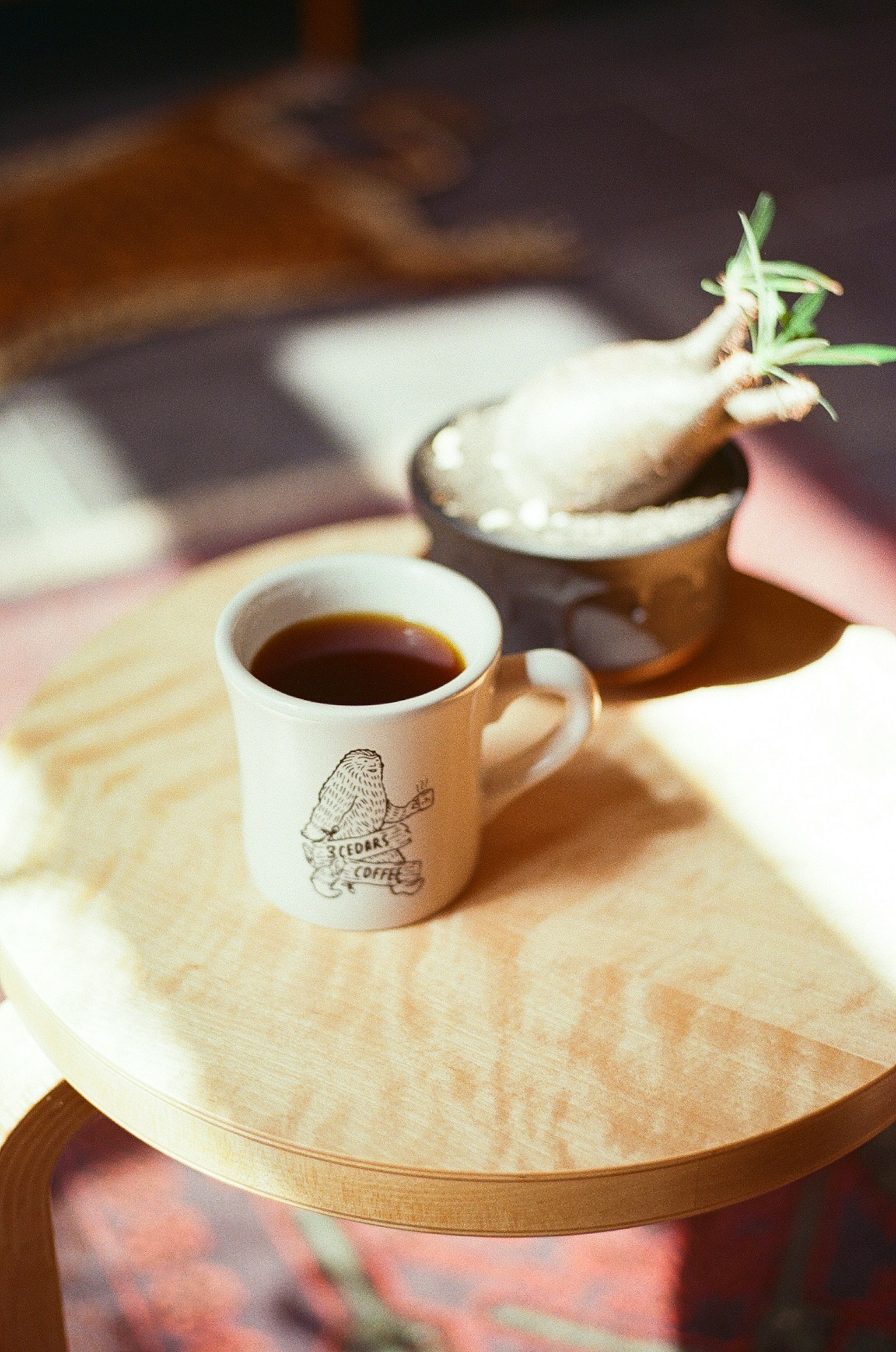 Una tazza di caffè e una pianta in vaso su un tavolo di legno