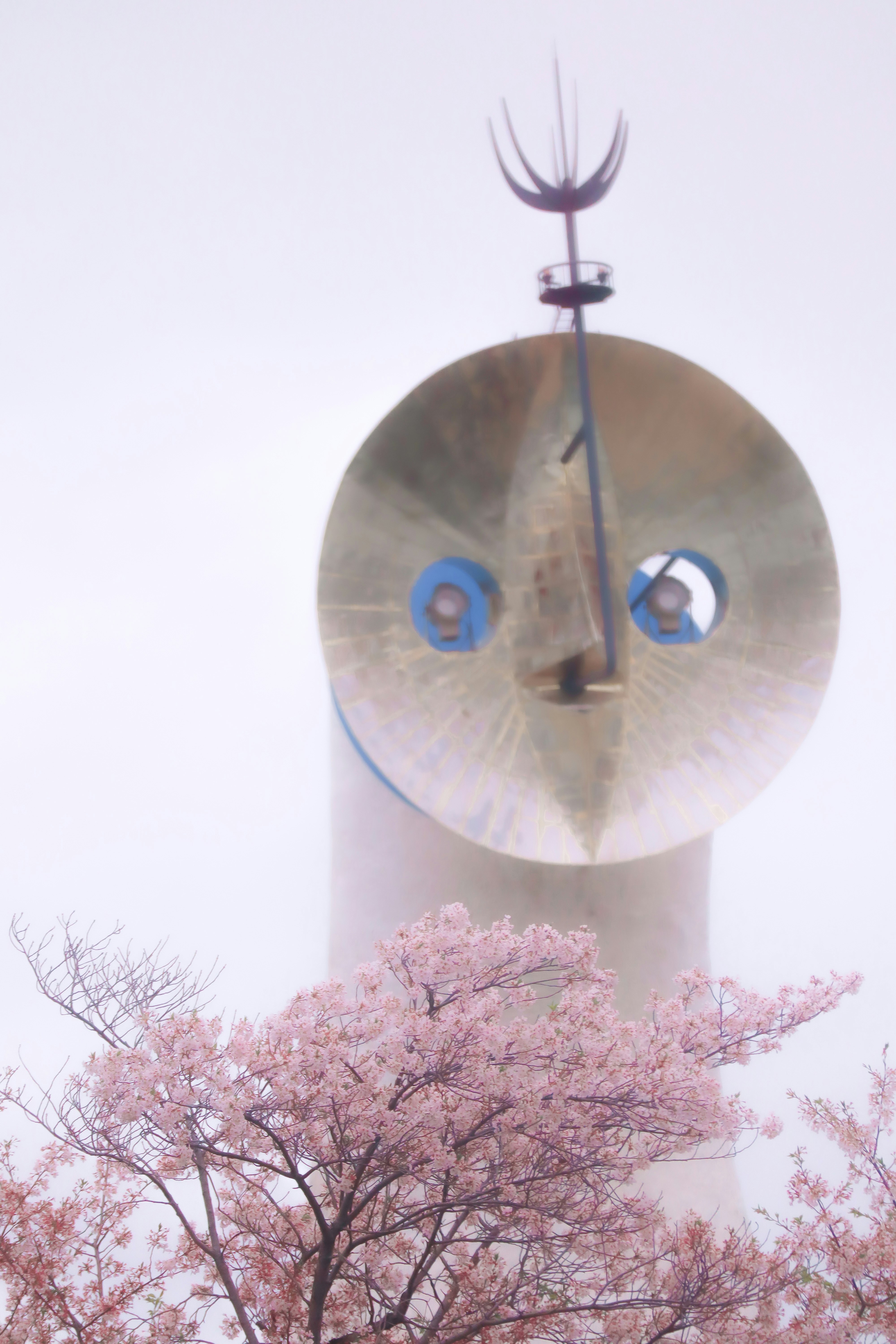 大阪府吹田市・万博記念公園の桜と太陽の塔