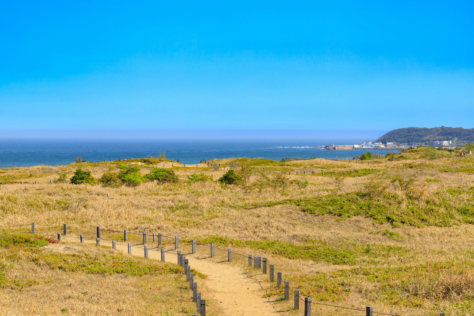 Vue pittoresque de dunes de sable avec un chemin menant à l'océan sous un ciel bleu clair
