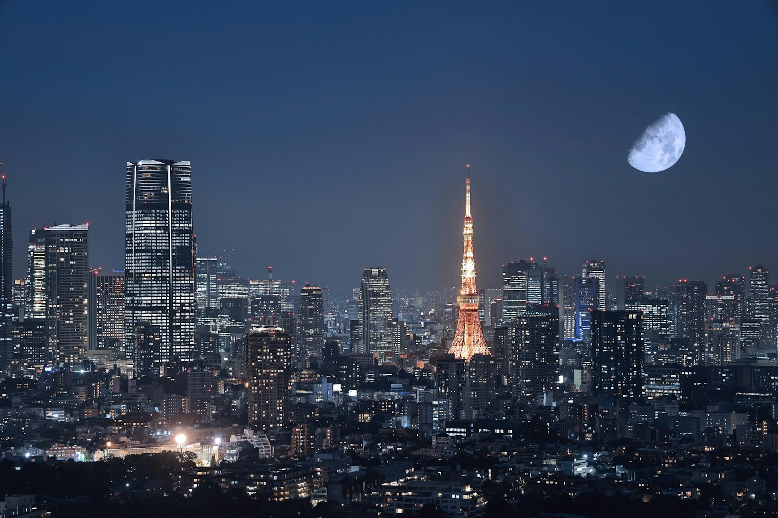 Nachtansicht des Tokyo Tower und Hochhäuser vor einem dunklen Himmel