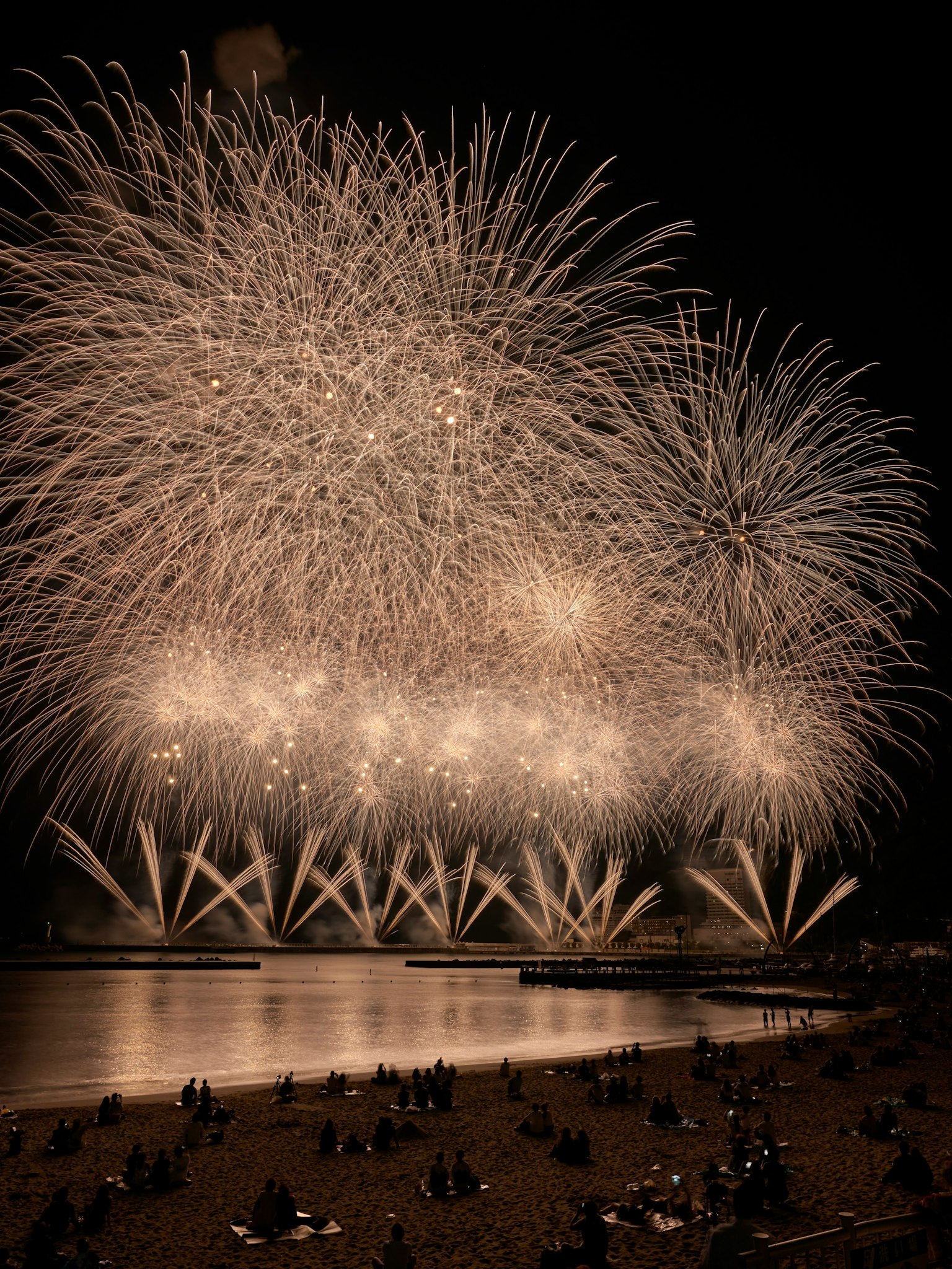 Un spectacle éblouissant de feux d'artifice illuminant le ciel nocturne avec des couleurs vives