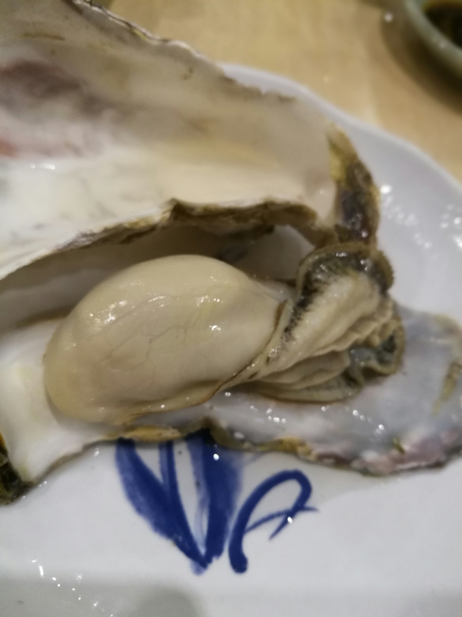 Hàu tươi được trình bày trên đĩa