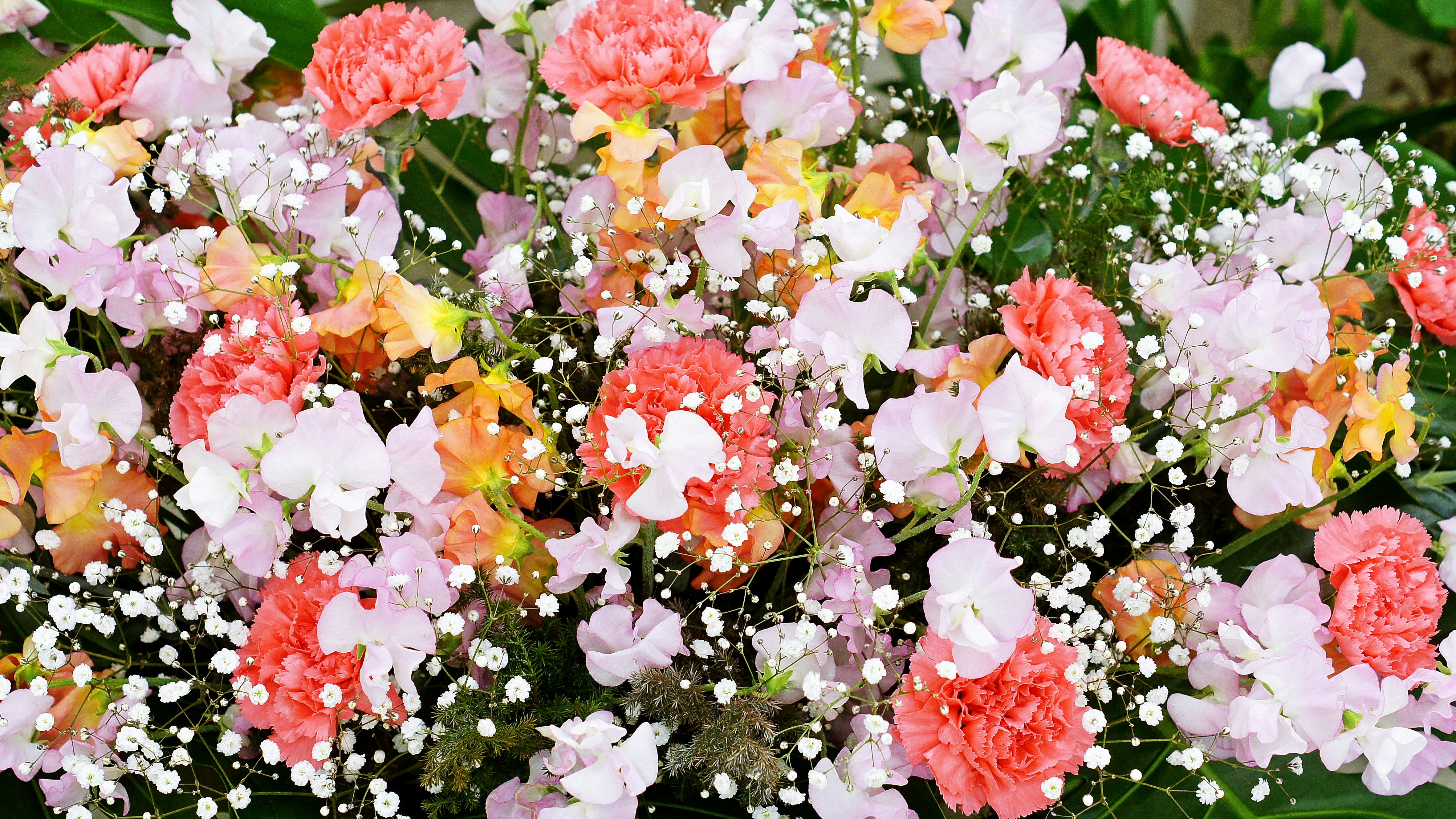 色とりどりの花が密に咲く花束のような花畑