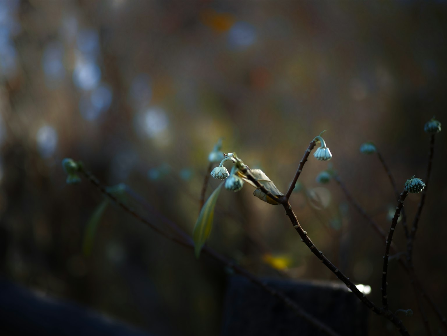 photo-RvTMy36qY7FX1hNj1EeZ-image