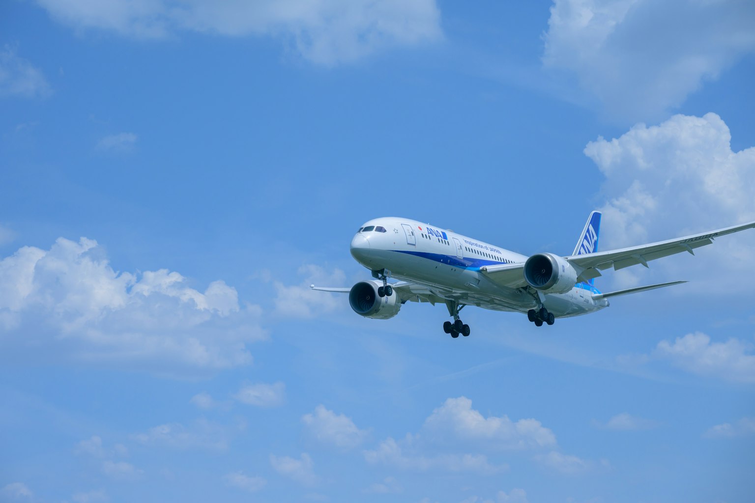 Avion de passagers volant contre un ciel bleu