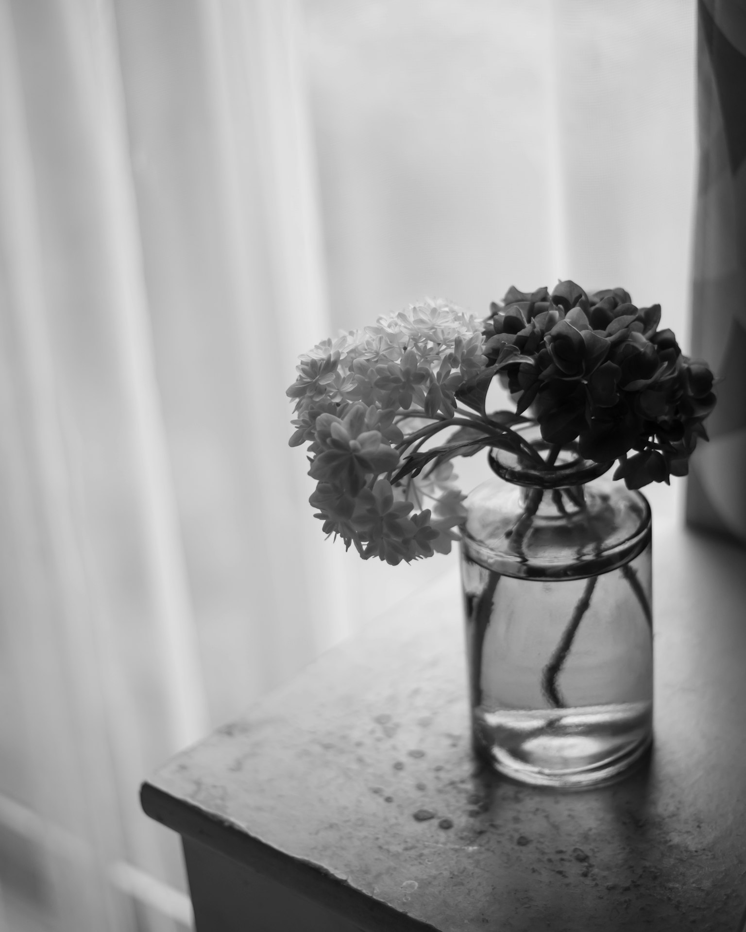 Schwarzweiß-Stillleben von Blumen in einer Vase