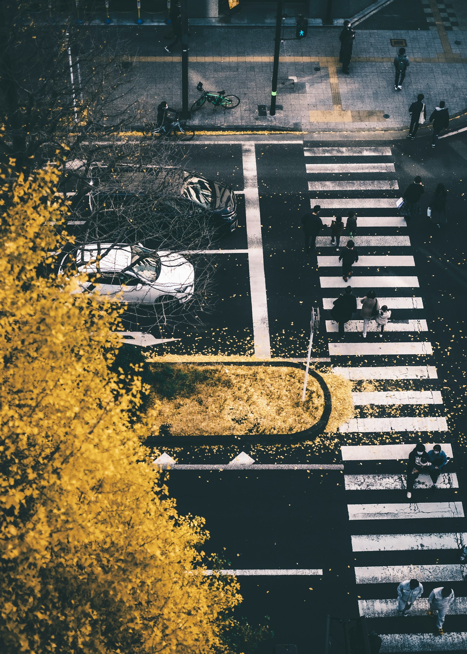 Vue aérienne d'un carrefour avec un passage piéton blanc des feuilles jaunes d'arbres et une voiture garée