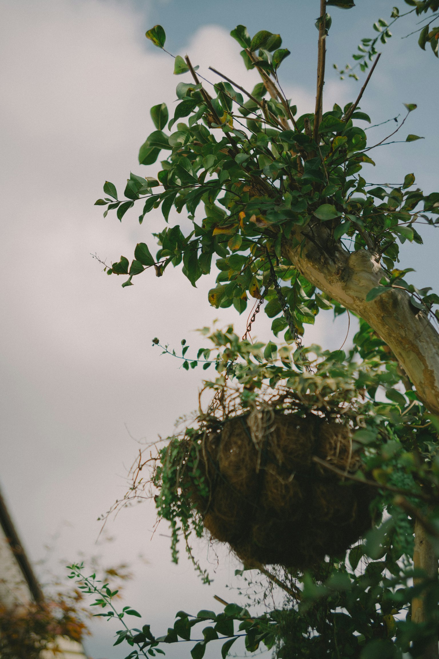 photo-RvkCLzcWaKUtgyKAUN2o-image