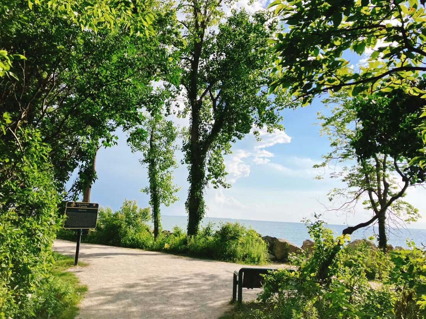 Passeggiata sul mare con alberi verdi e cespugli