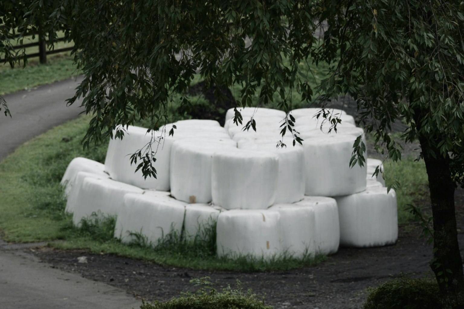 白いラップされた干し草のバールが積み重なっている風景