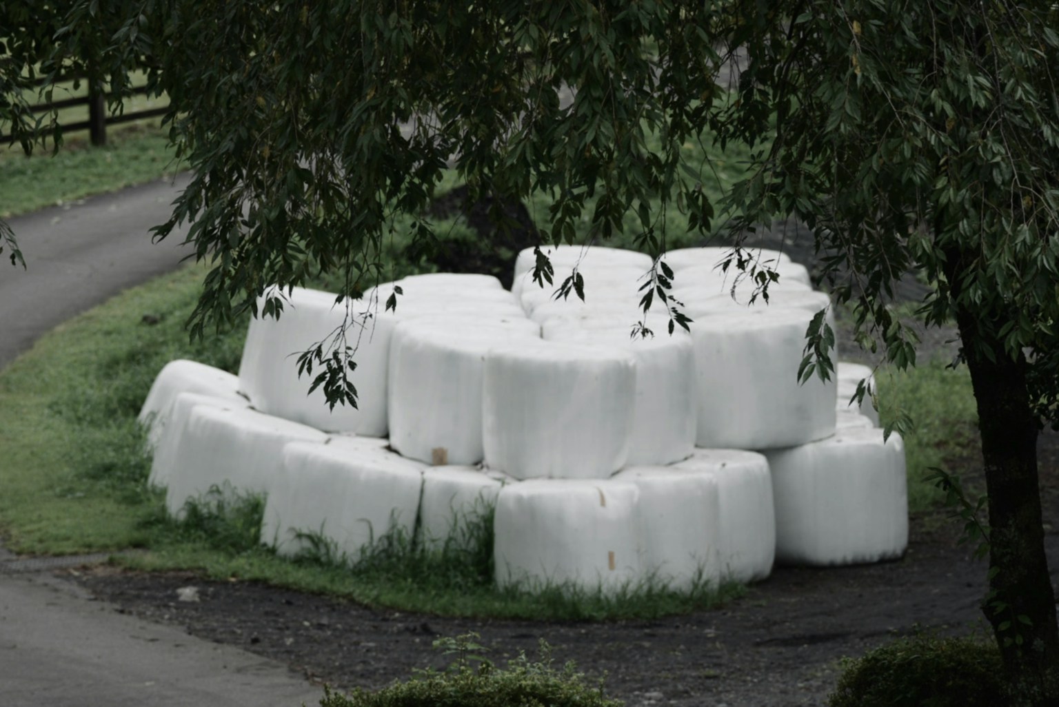 photo-RwFiBynTnmKH1FVNdKmU-image