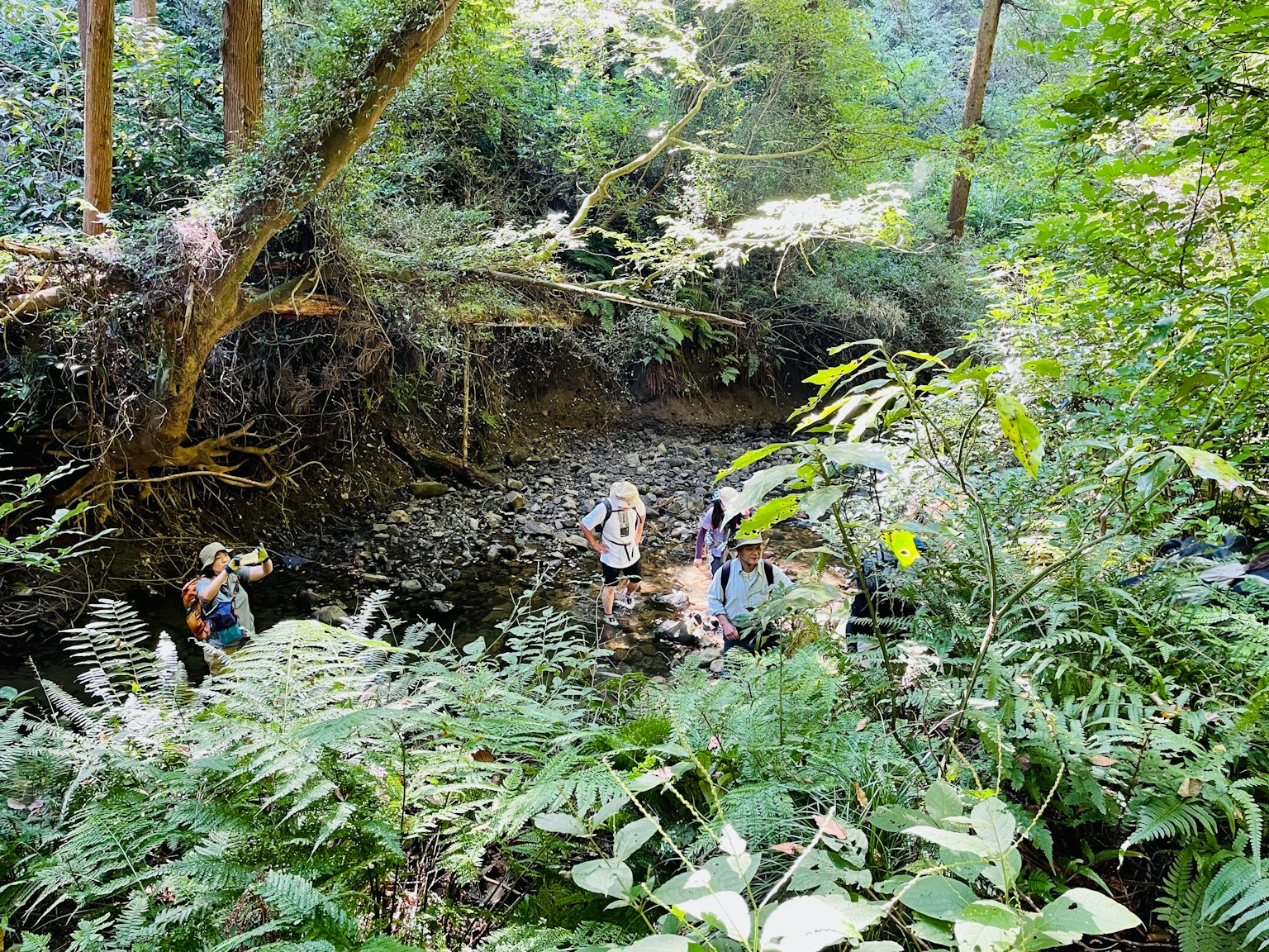 Orang-orang di dekat badan air di hutan lebat