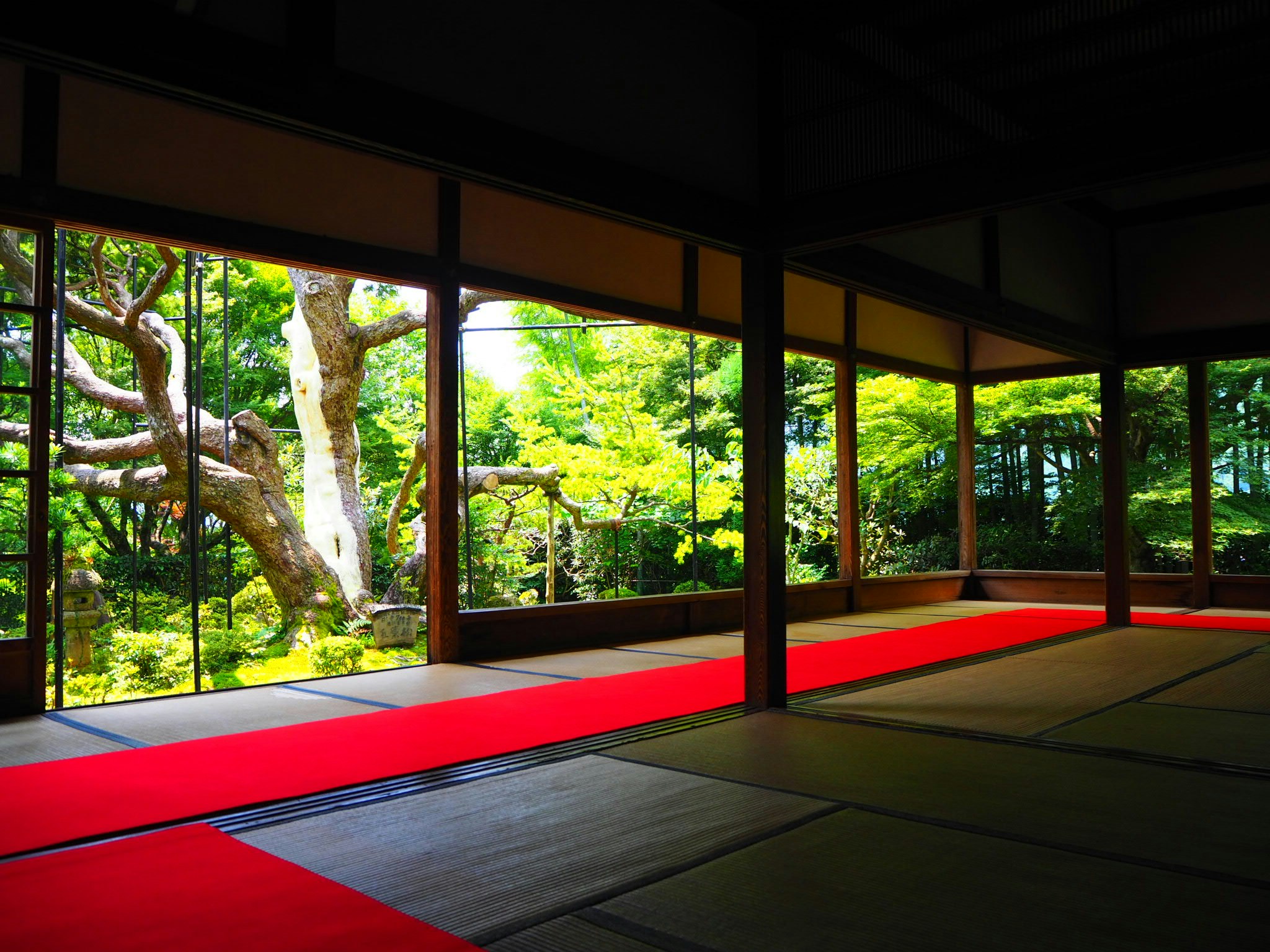 Vue sur un jardin verdoyant et des arbres depuis une véranda engawa