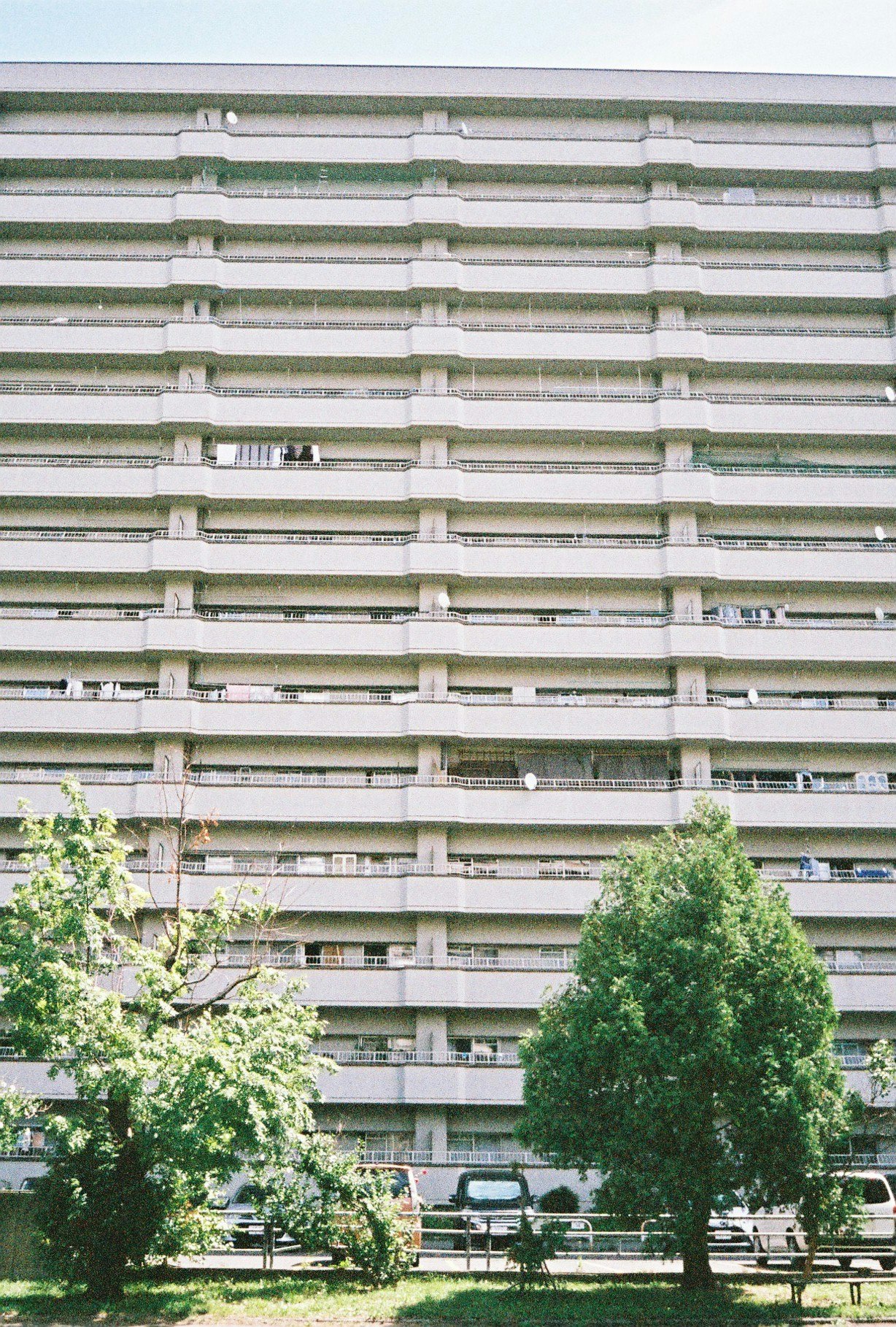 树木映衬下的高层住宅楼外立面
