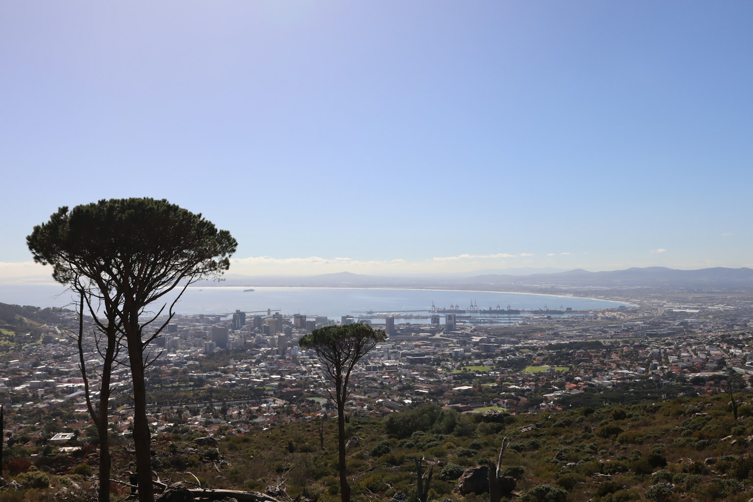 Paisaje urbano con vista al océano y dos árboles